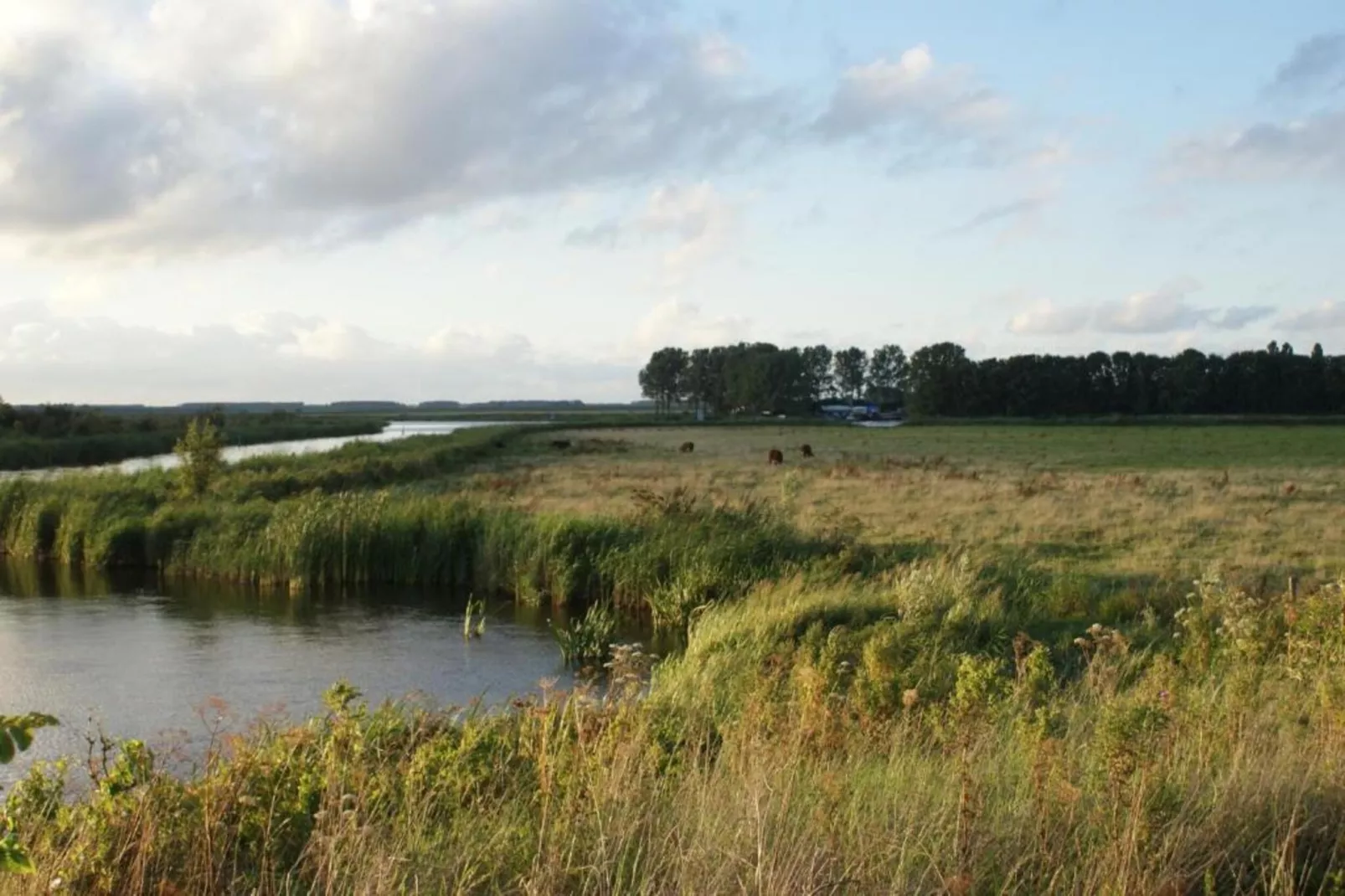 Lauwerspleats-Gebieden zomer 20km