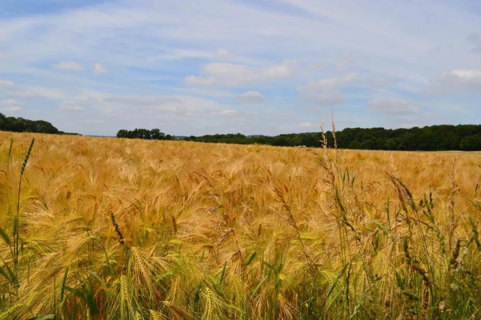Ard' View-Gebieden zomer 20km