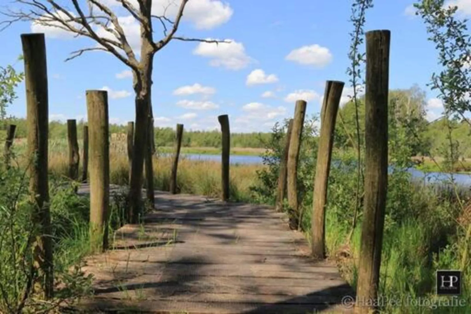 Villa Zonnewijzer-Gebieden zomer 20km