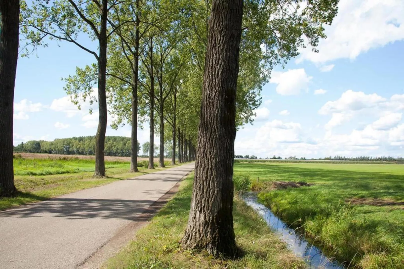 MarinaPark Bad Nederrijn 4-Gebieden zomer 5km