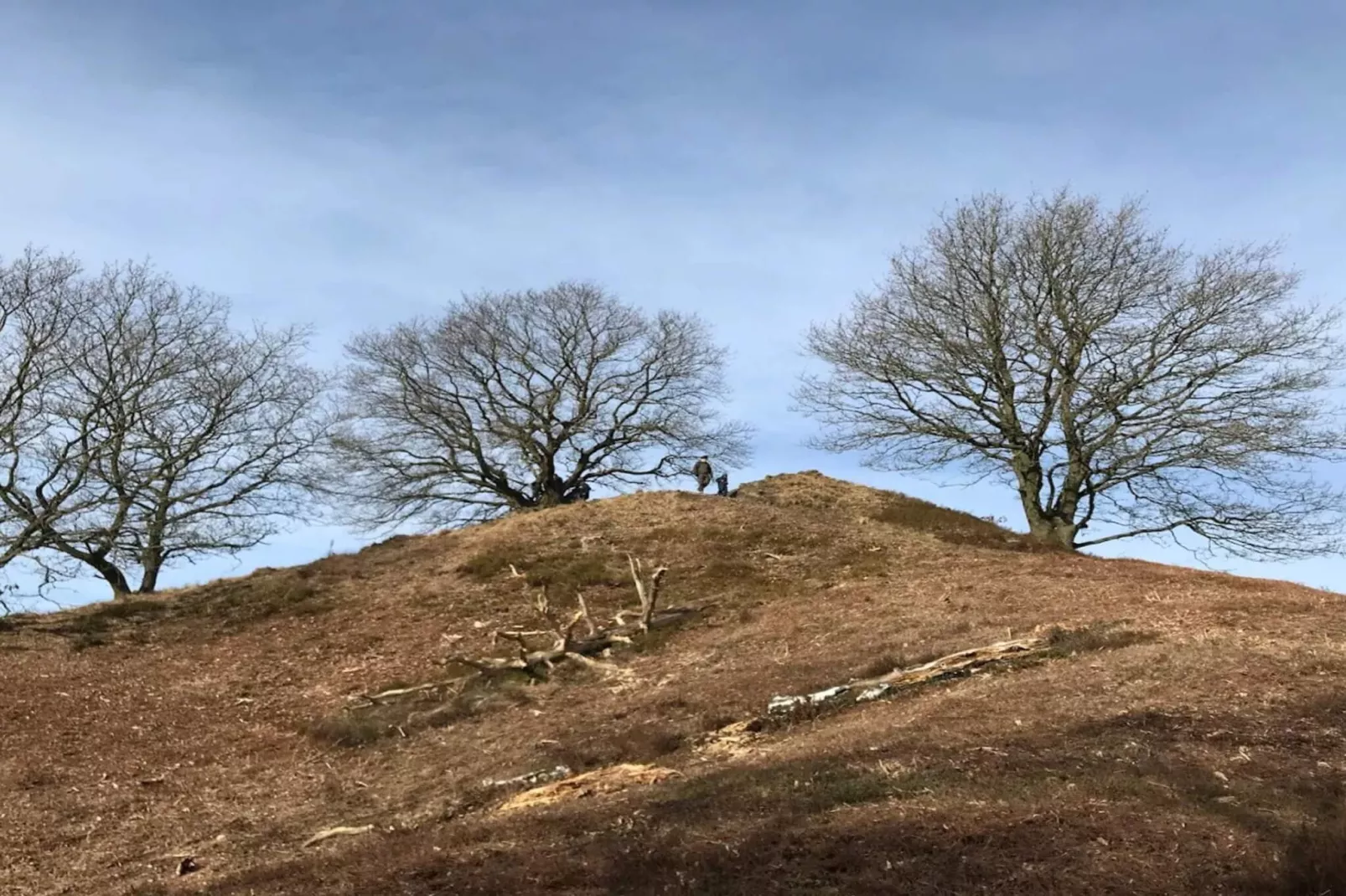 6 persoons vakantie huis in Silkeborg-By Traum