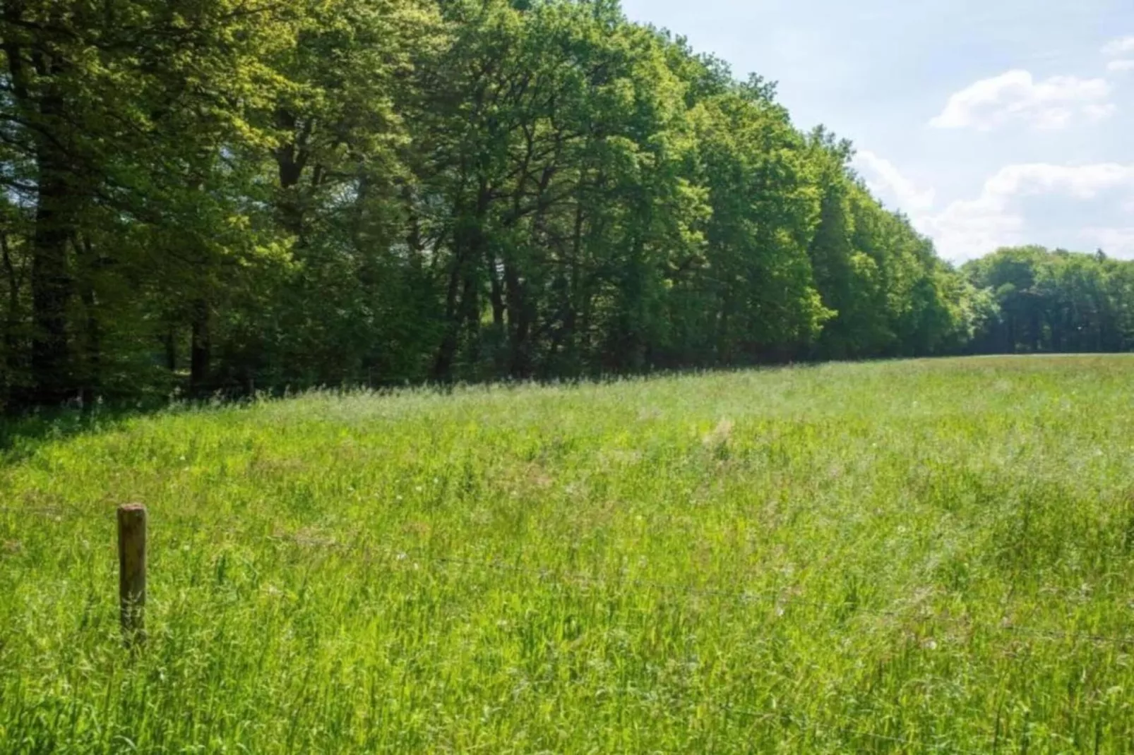 Hulshorsterhout-Gebieden zomer 20km