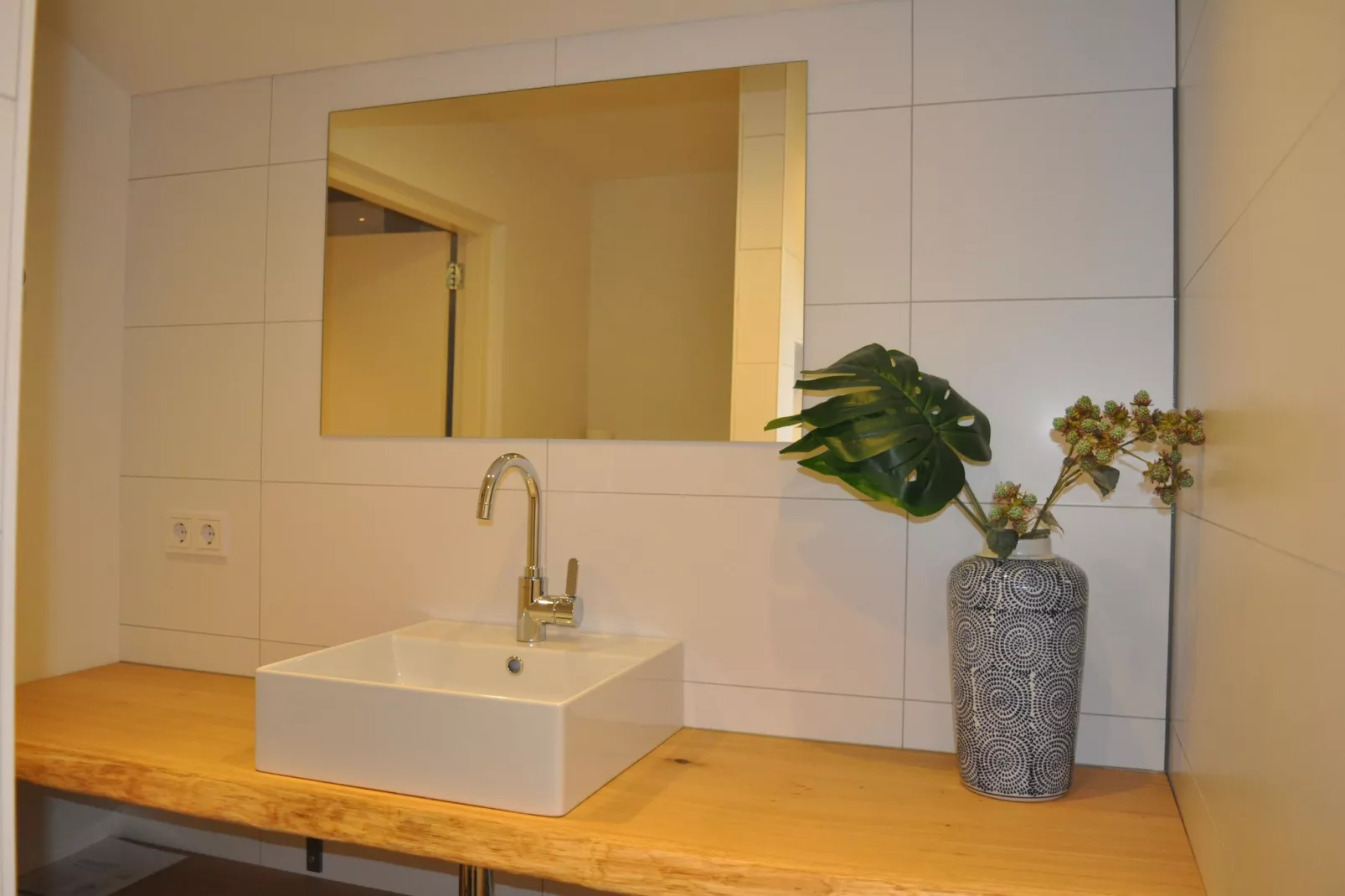 Dorpswoning De Volbloed-Badkamer
