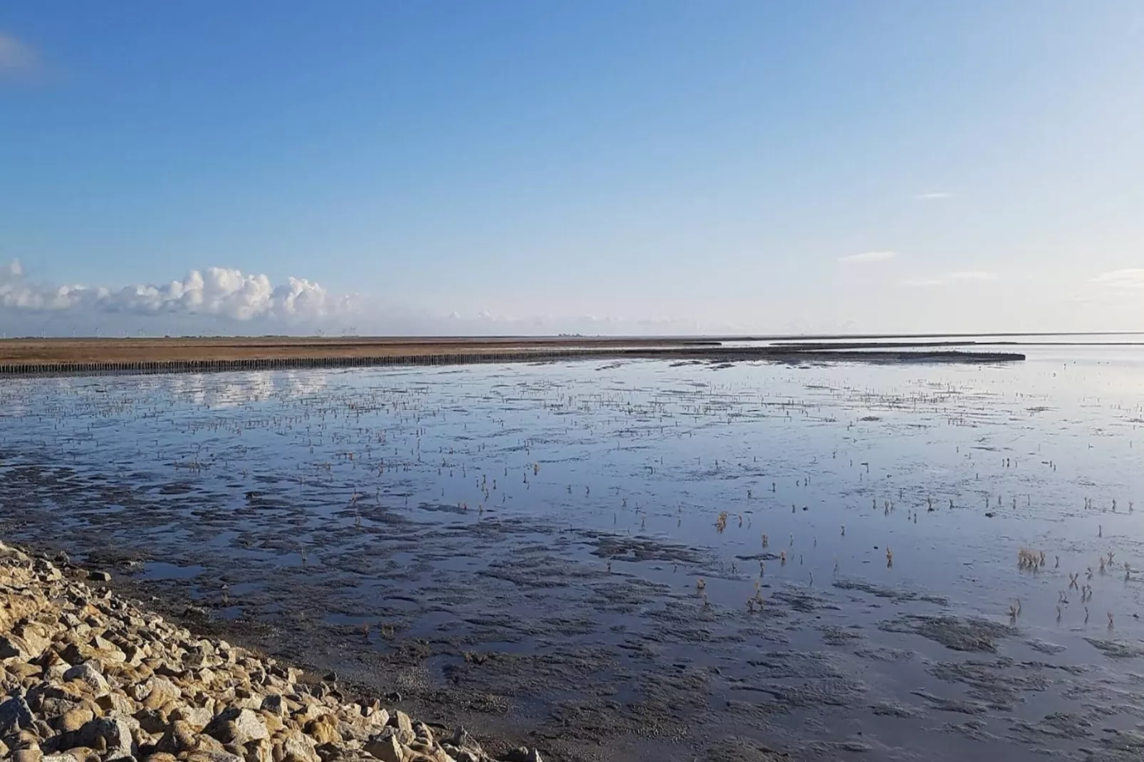 Reihenhaus Basstölpel 4 Personen-Gebieden zomer 5km