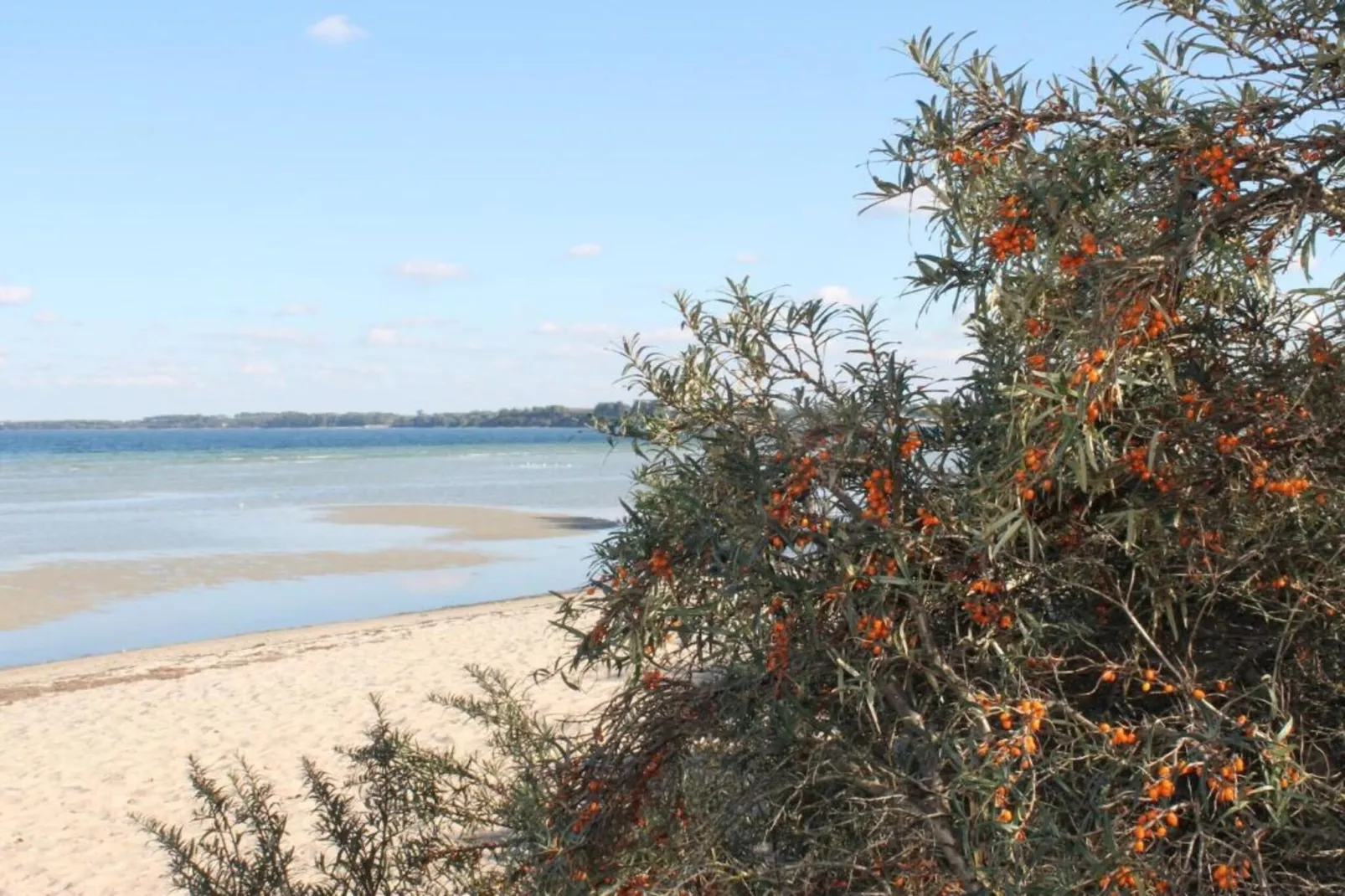 Ferien an der Ostsee-Gebieden zomer 5km