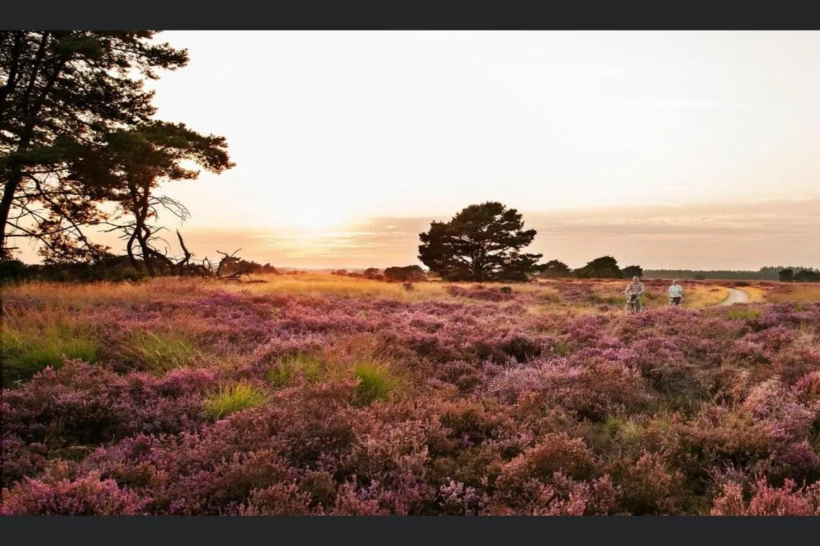 MM Nature-Gebieden zomer 20km
