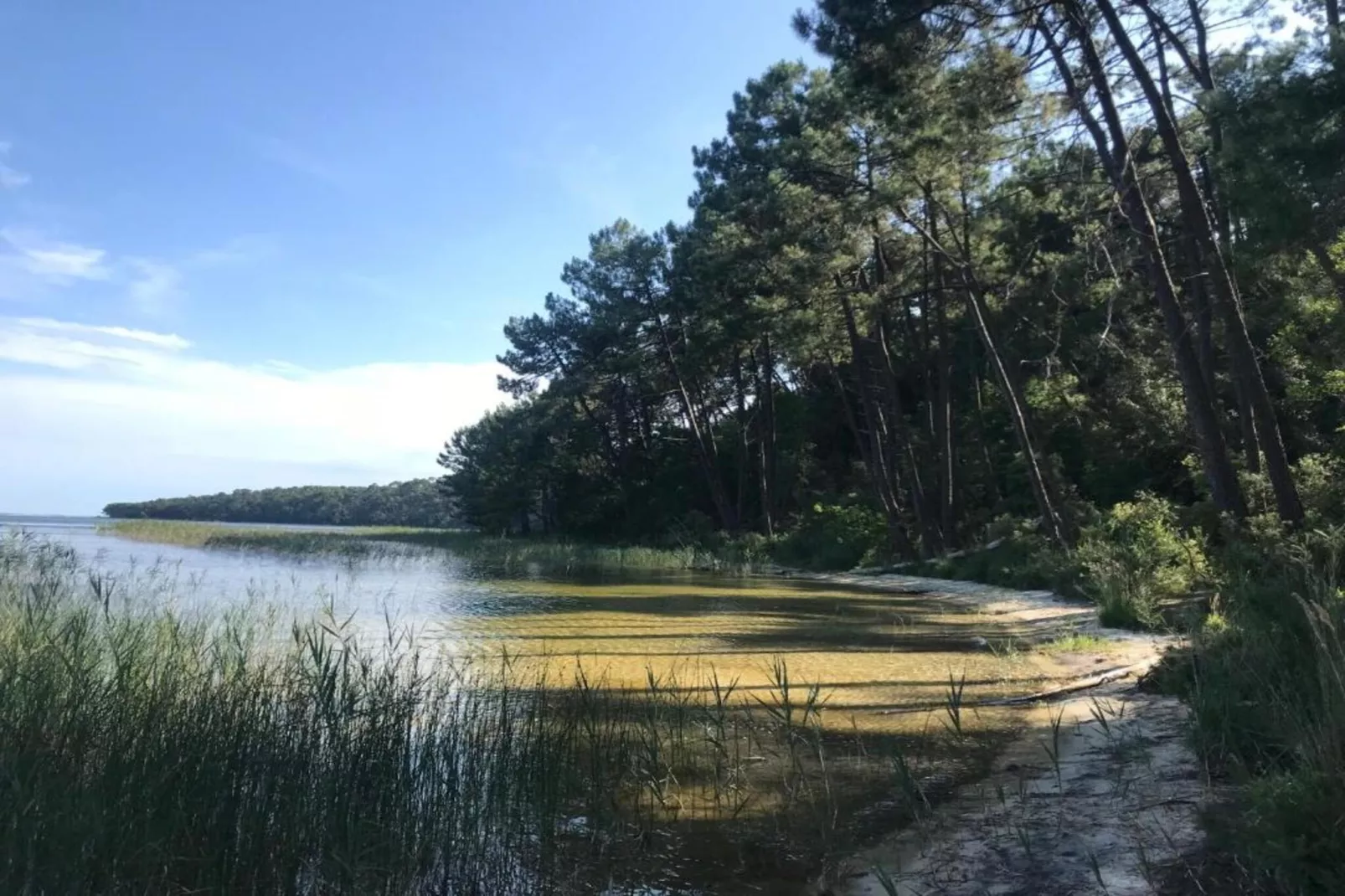 Résidence Le Petit Pont 4-Gebieden zomer 1km