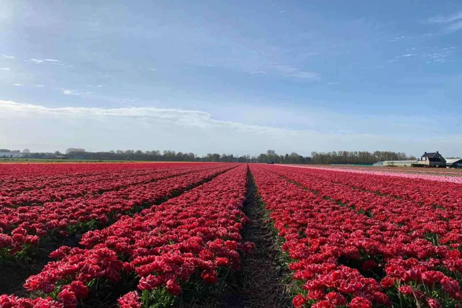 Duinresort Dunimar 3-Gebieden zomer 20km