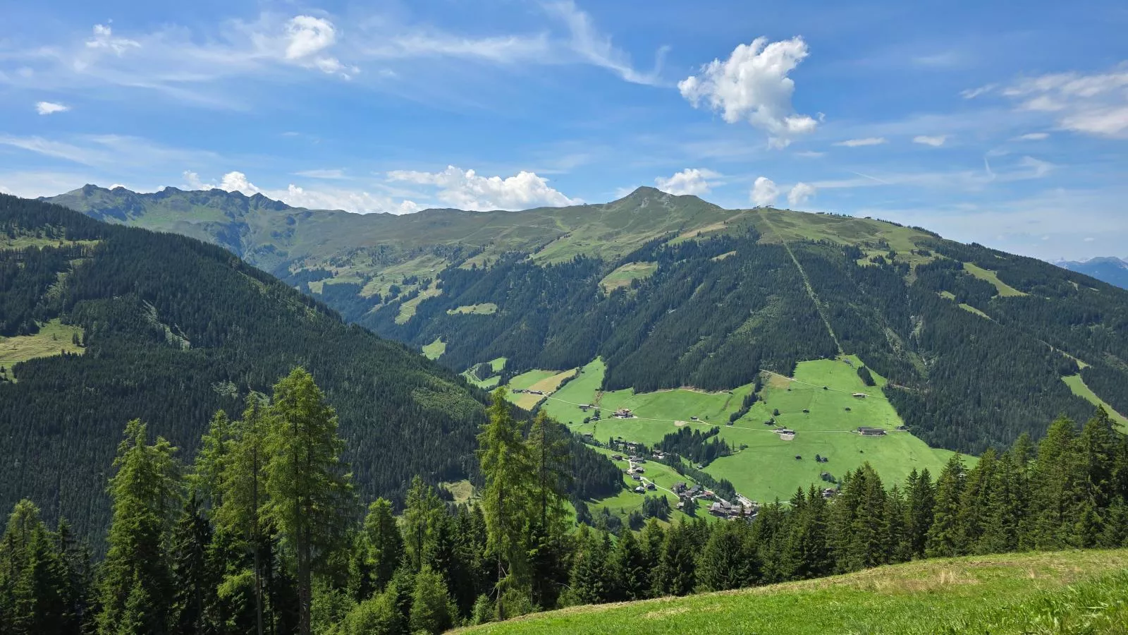 EAGGA-Niederleger Alm-Uitzicht zomer
