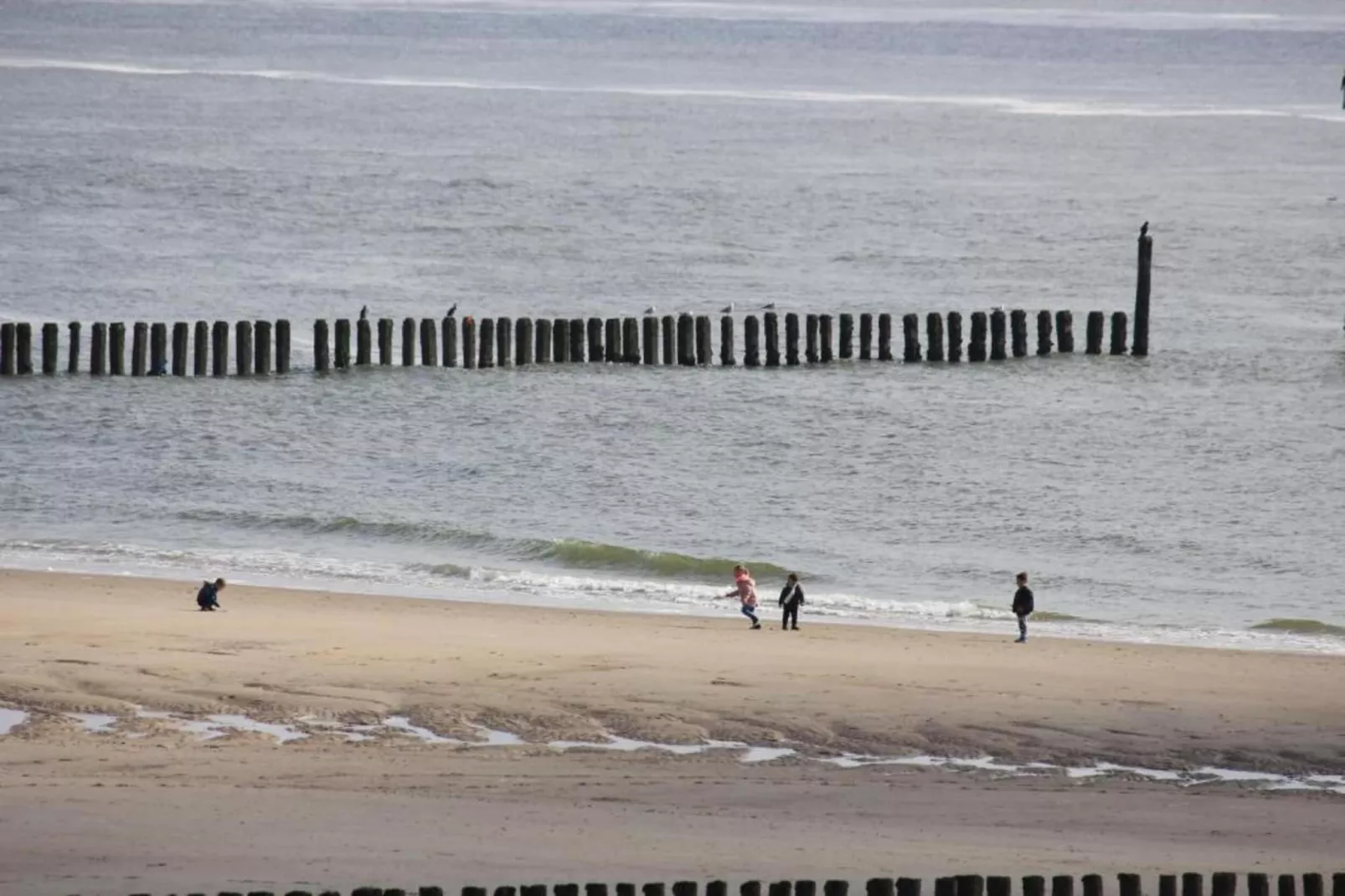 Studio - Zuidstraat 113-Gebieden zomer 5km