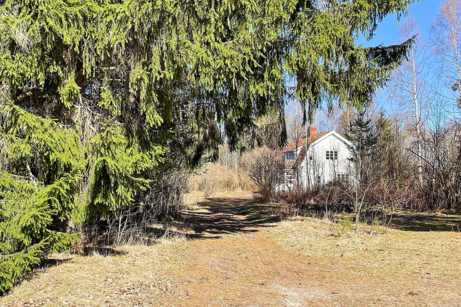 4 persoons vakantie huis in HÖJE-By Traum-Buitenlucht