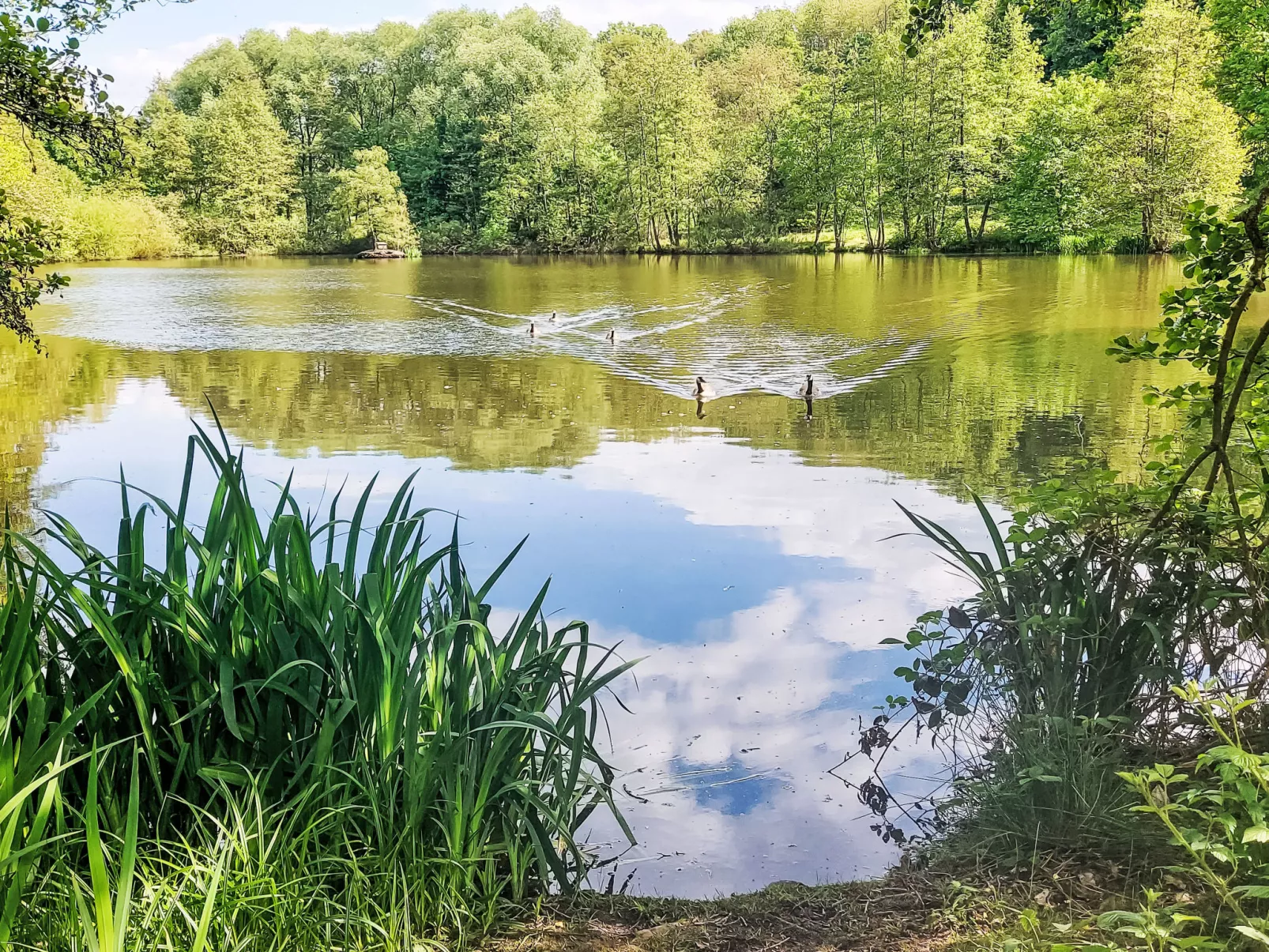 Am Sternberg 97-Buiten