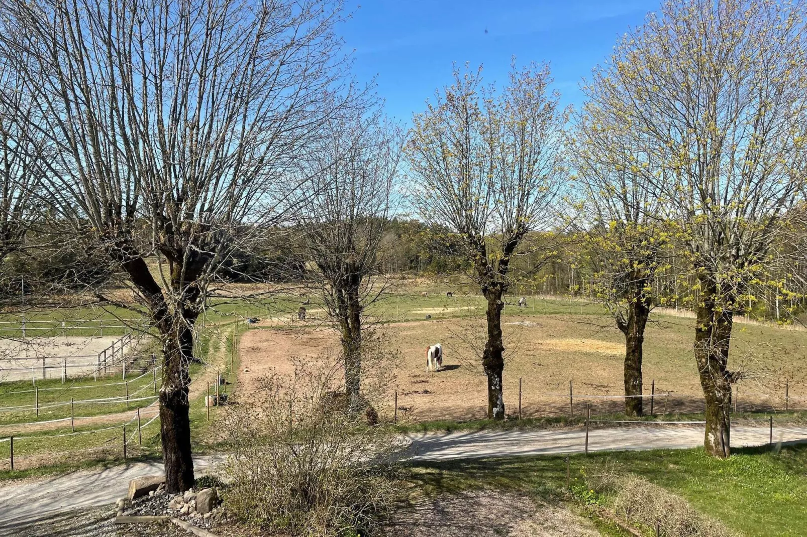 6 persoons vakantie huis in BOLLEBYGD-By Traum-Buitenlucht
