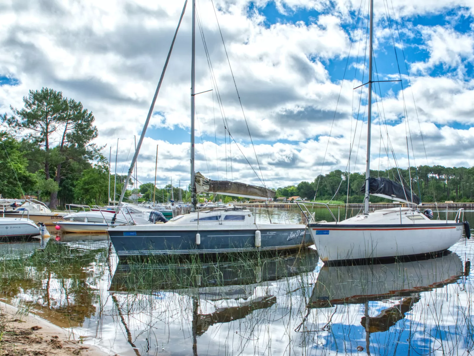 Club de la Voile-Omgeving