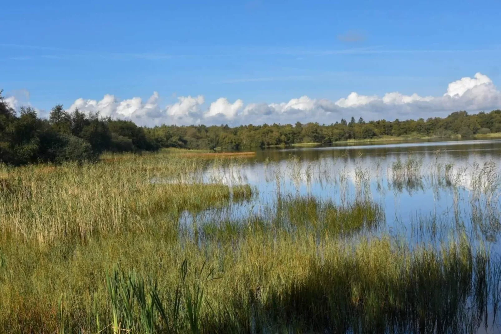 4 sterren vakantie huis in Ansager-By Traum