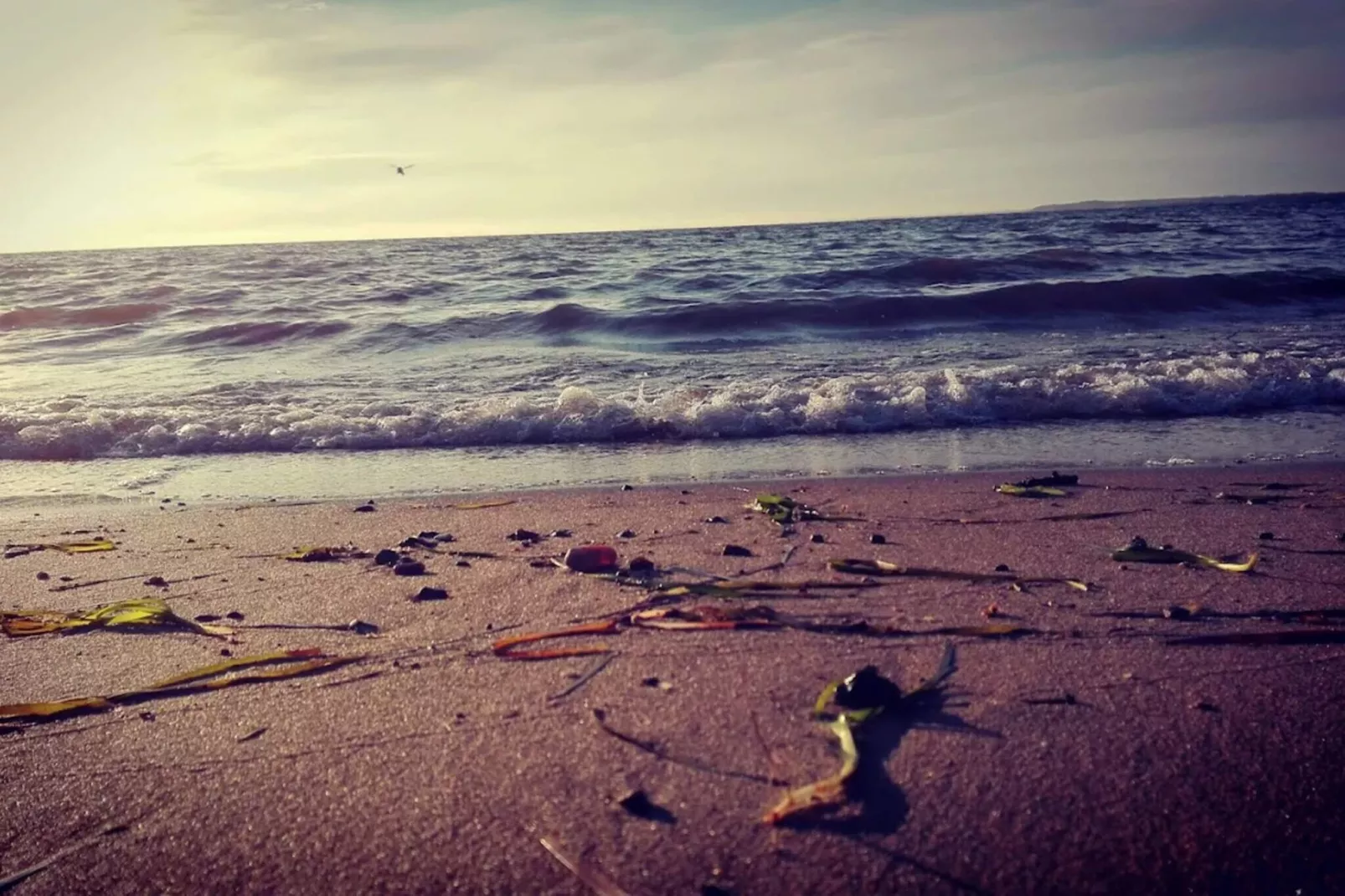 Gerestaureerde Cottage bij Toftum -- By Traum Ferienwohnungen-Waterzicht