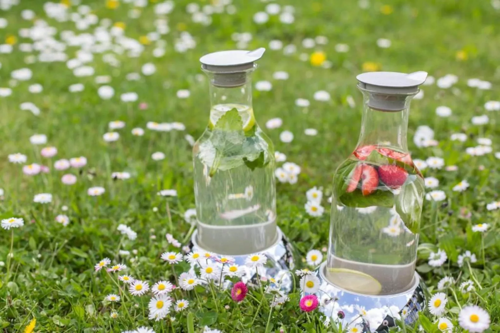 Ferienhaus Ahnert bei Chemnitz-Sfeer