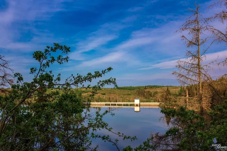 Ferienhaus in Hasselfelde - Haus 318 Auerhahn-Gebieden zomer 5km
