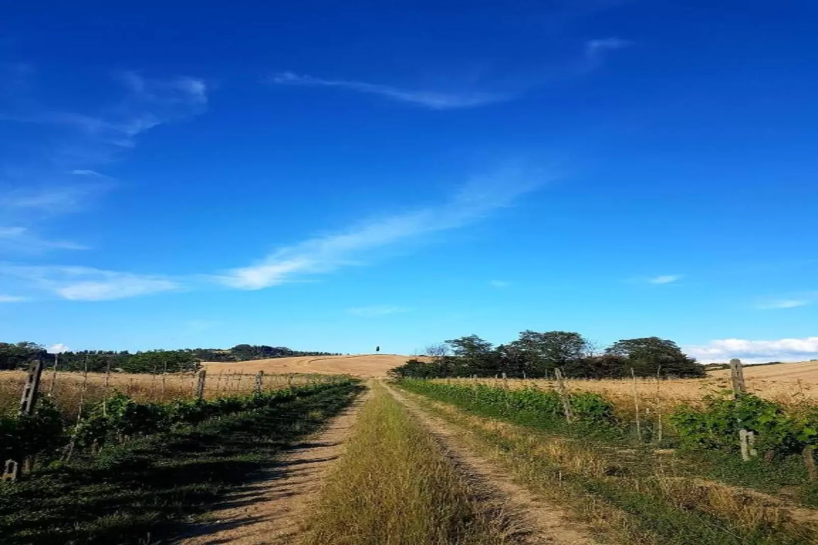 Villa Celli Otto-Gebieden zomer 5km