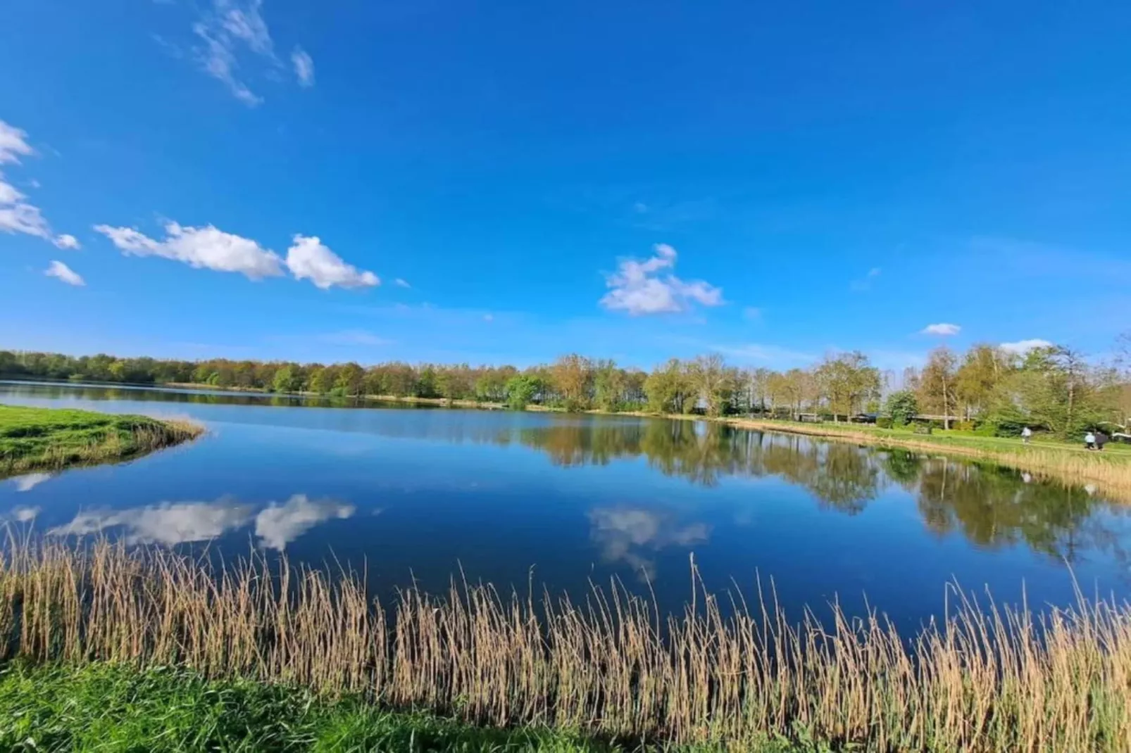 Vakantiepark Hof van Zeeland 1-Gebieden zomer 20km
