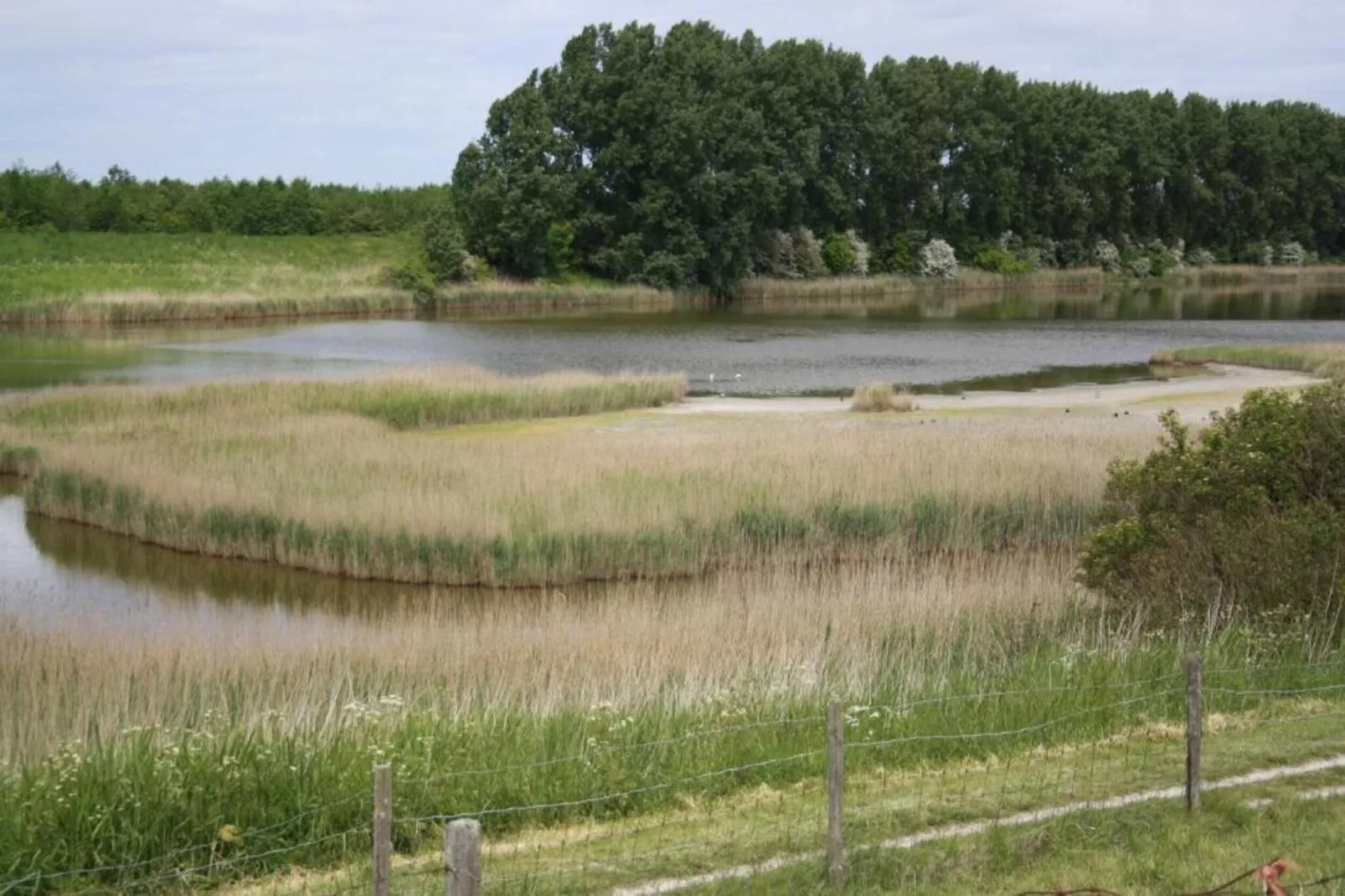 De Parelduiker Huis Nr 19-Gebieden zomer 20km