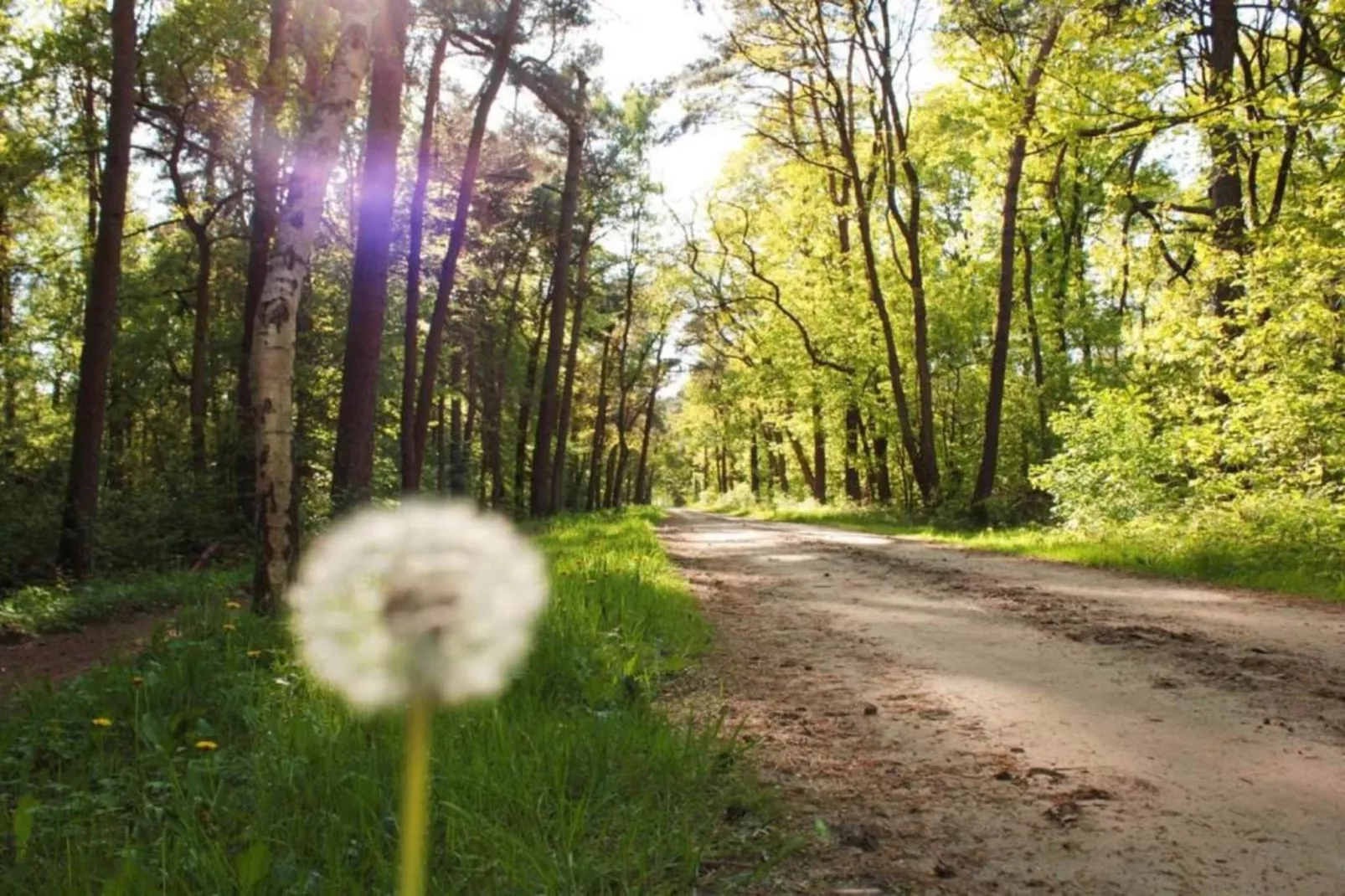 De Weelderik 3-Gebieden zomer 20km