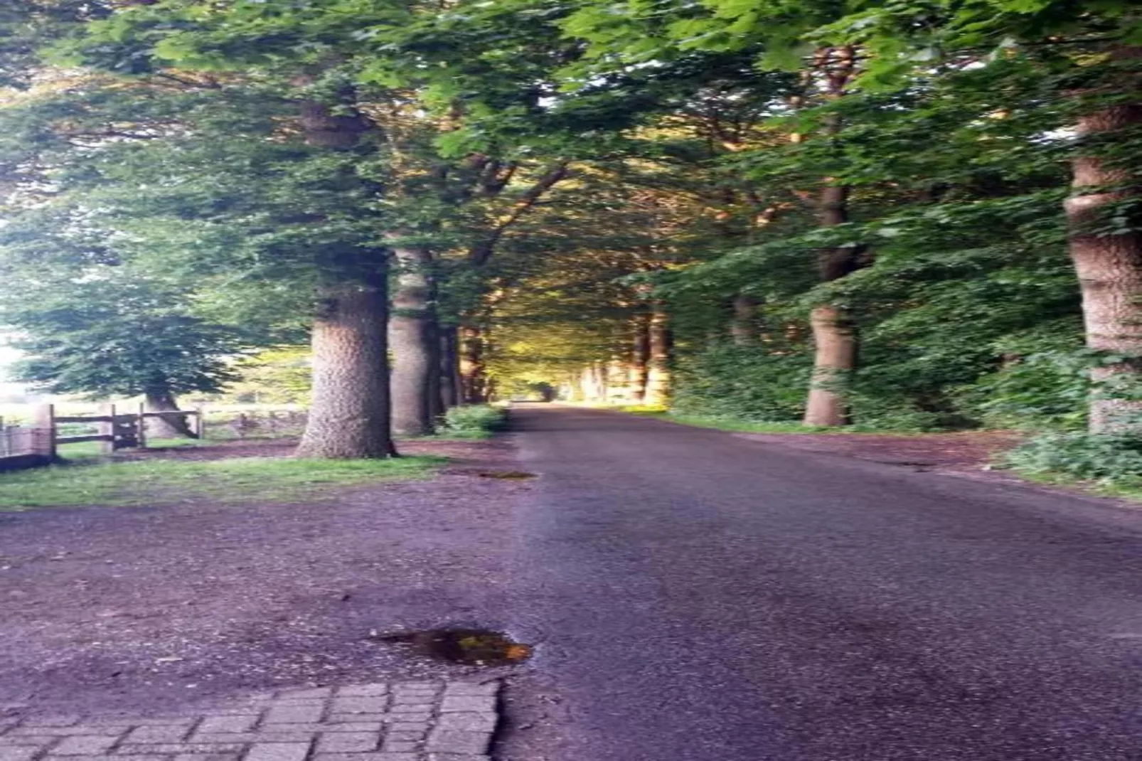 Residence De Eese 3-Gebieden zomer 20km