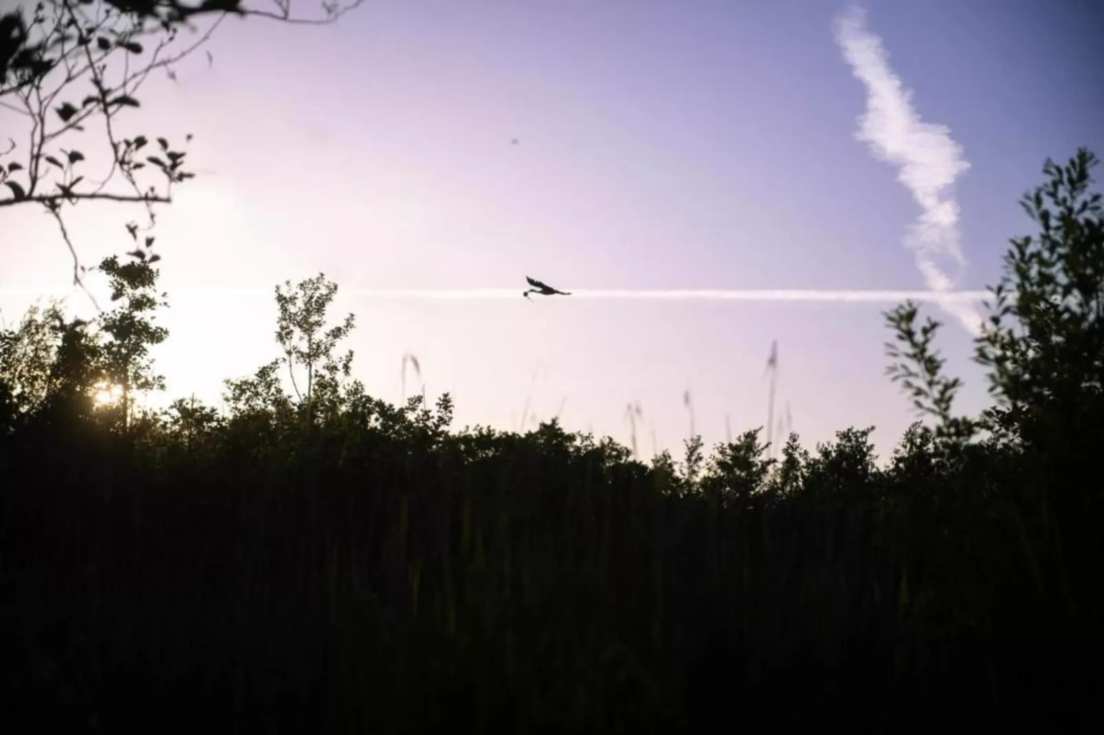 De Kerkereed-Gebieden zomer 20km