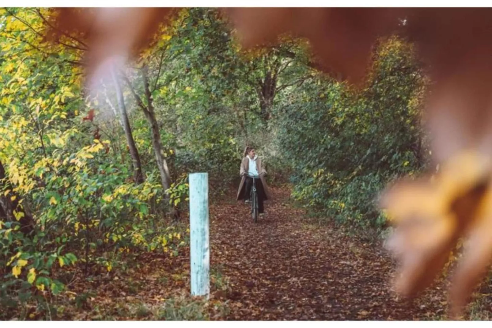 Dwergarend 17-26-Gebieden zomer 20km