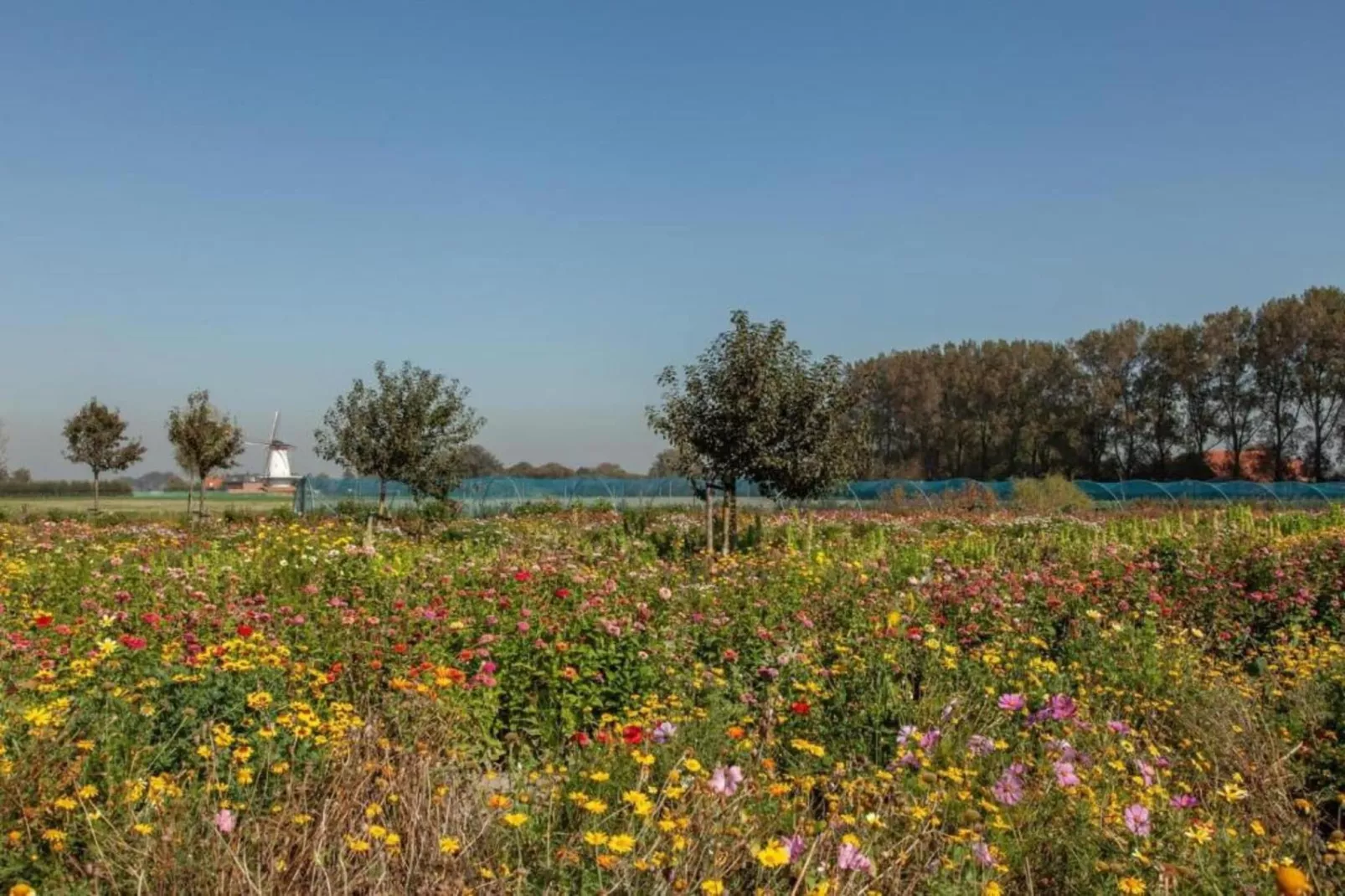 Vakantiepark Duinzicht 12-Gebieden zomer 20km