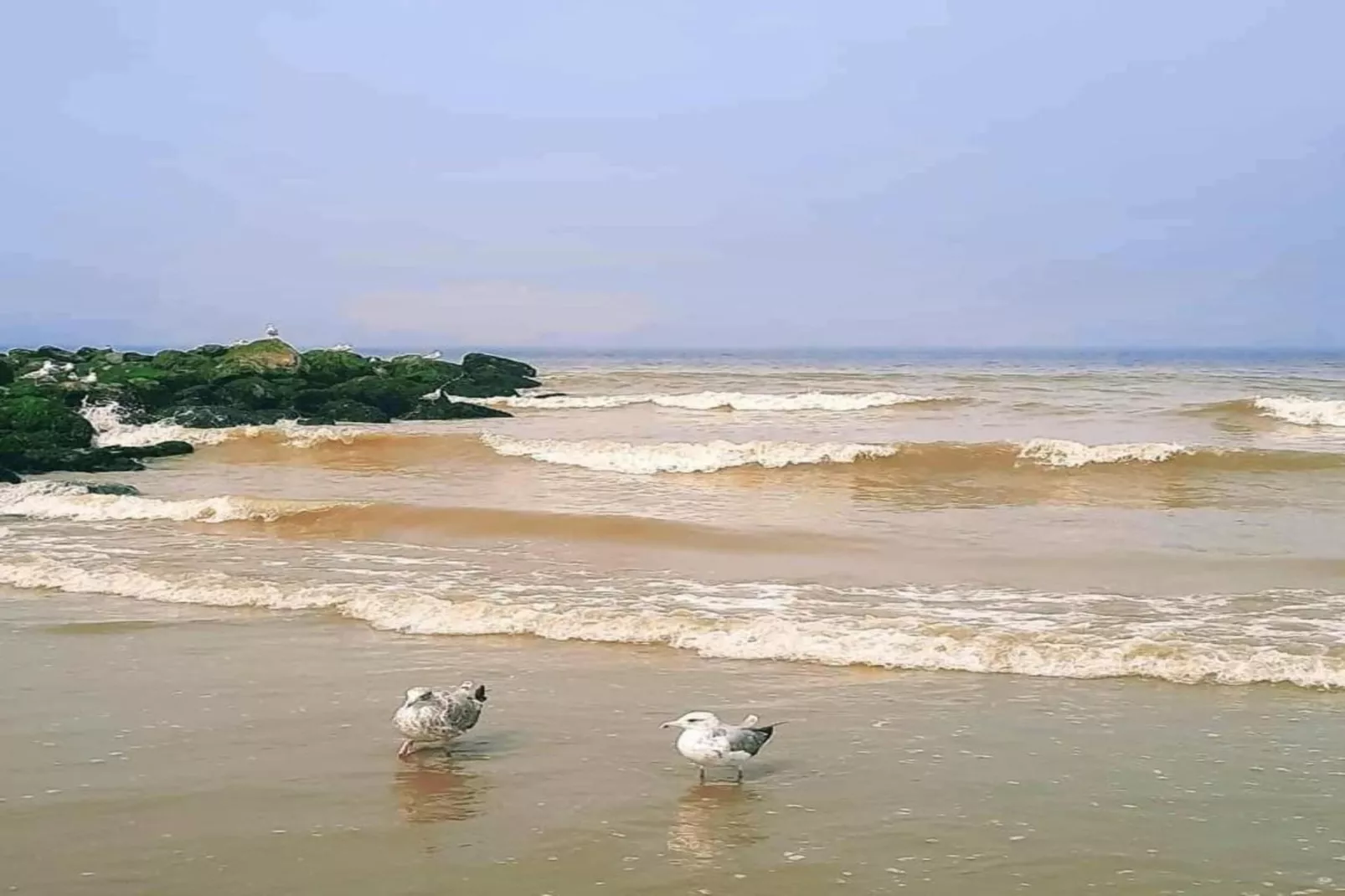 CASINO AB B0101GAR-Gebieden zomer 20km