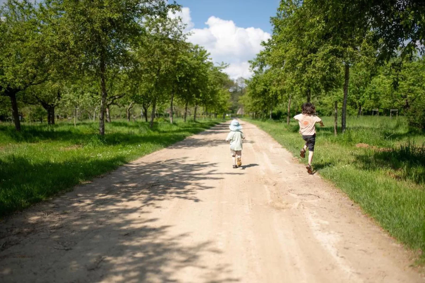 't Landgoed Baars 3-Gebieden zomer 20km