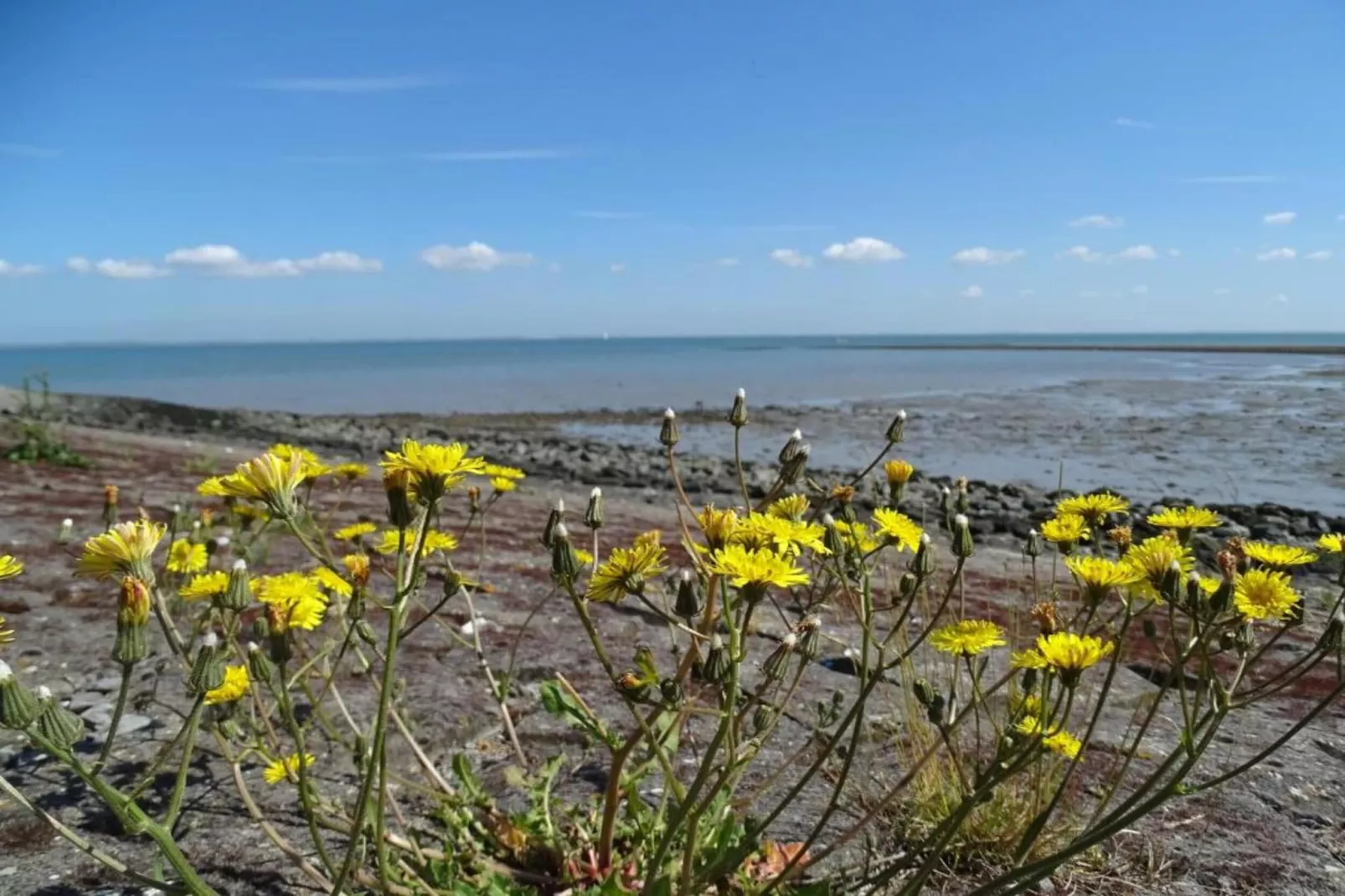 Heerlijkheid Vlietenburg 3-Gebieden zomer 20km