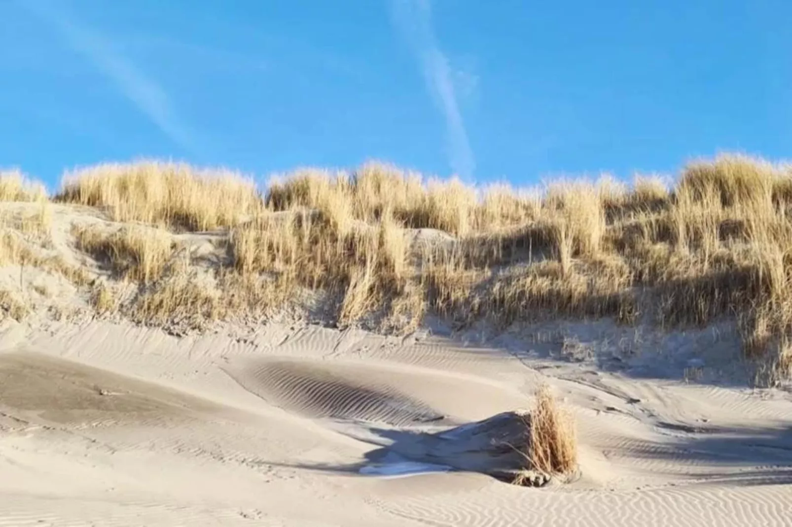 Strandpark Vlugtenburg 8-Gebieden zomer 20km