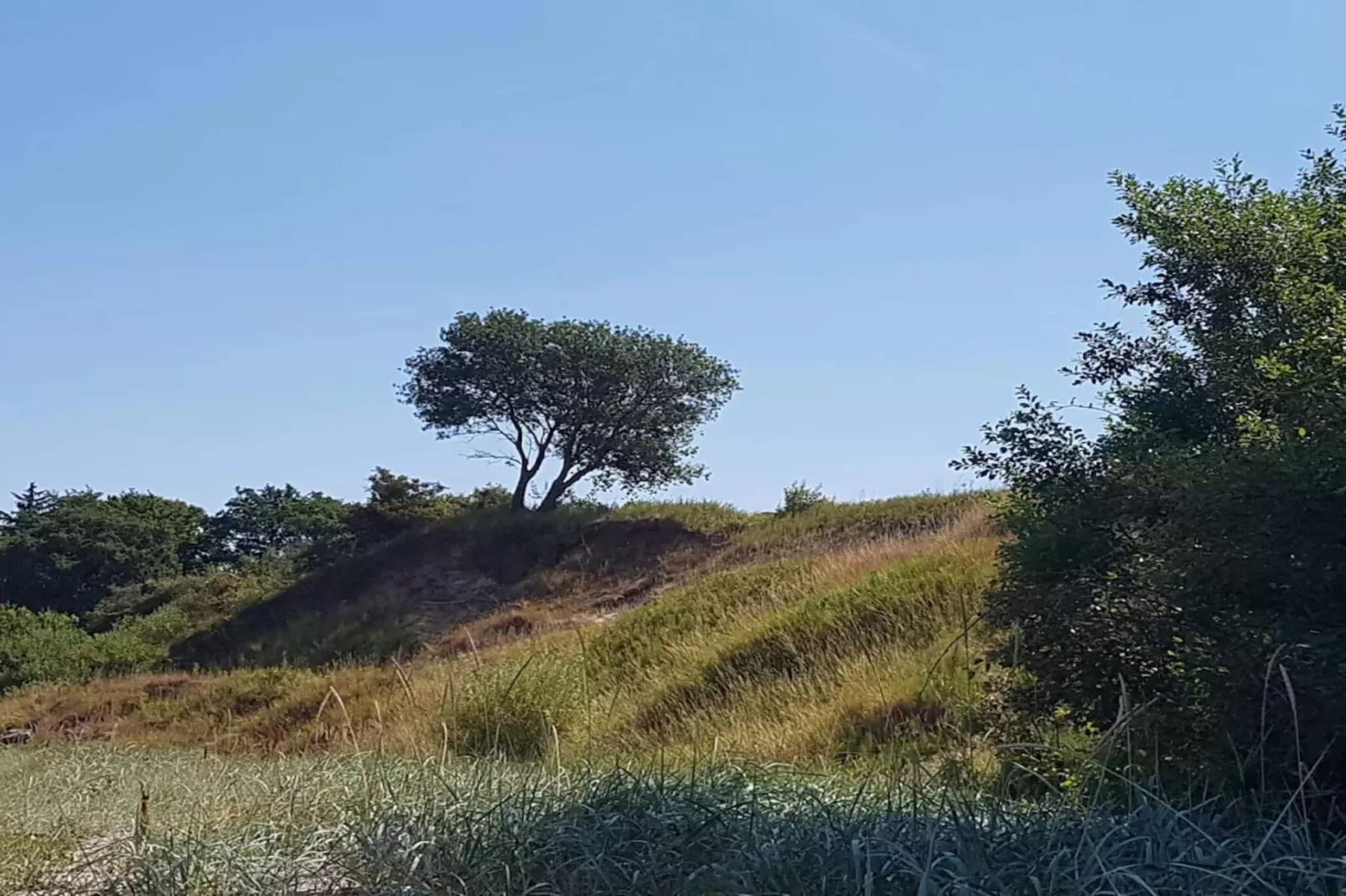 6 persoons vakantie huis in Brenderup Fyn-By Traum-Niet-getagd