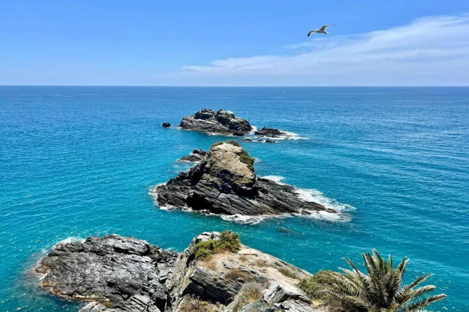 Apartamento Reina Sofía Primera linea de playa-Gebieden zomer 5km