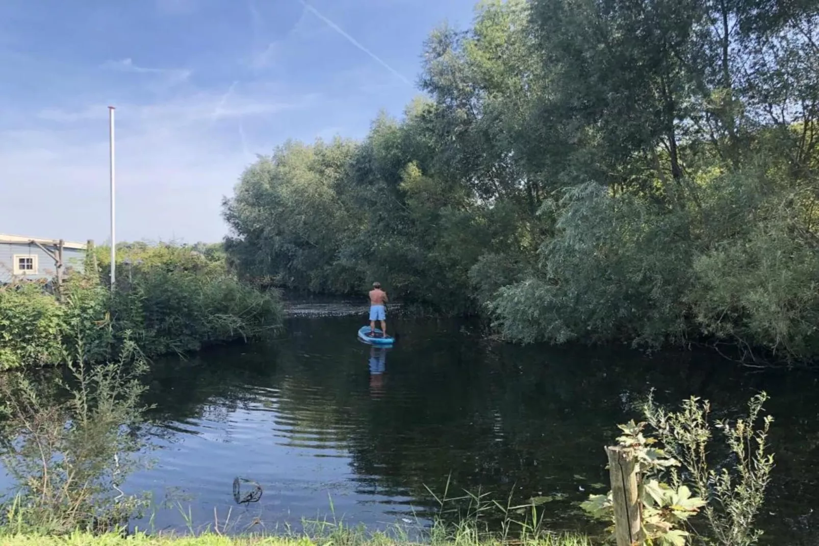Kuifduiker 7-Gebieden zomer 1km