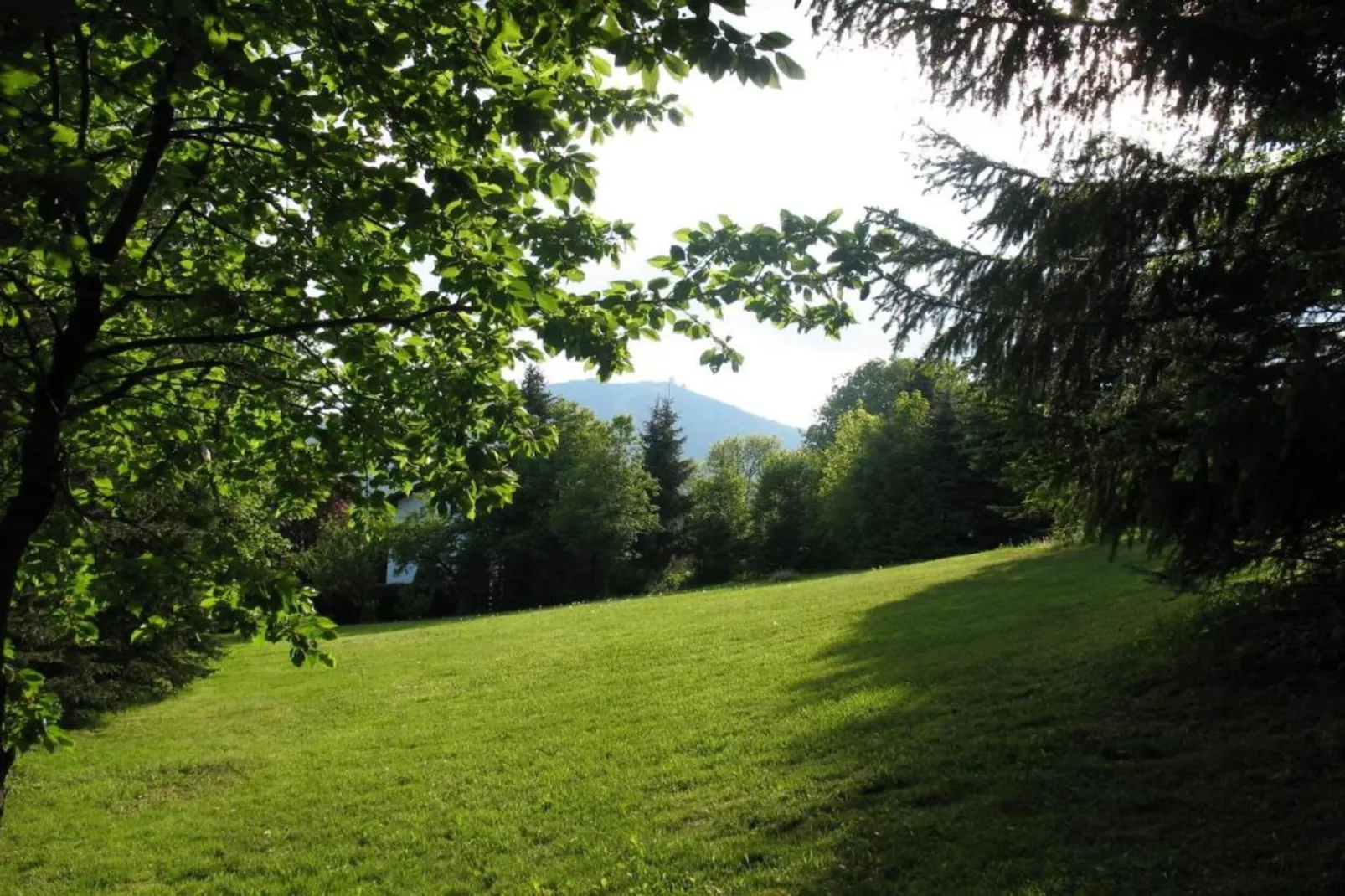 Schönes Holzhaus Arberblick-Gebieden zomer 20km