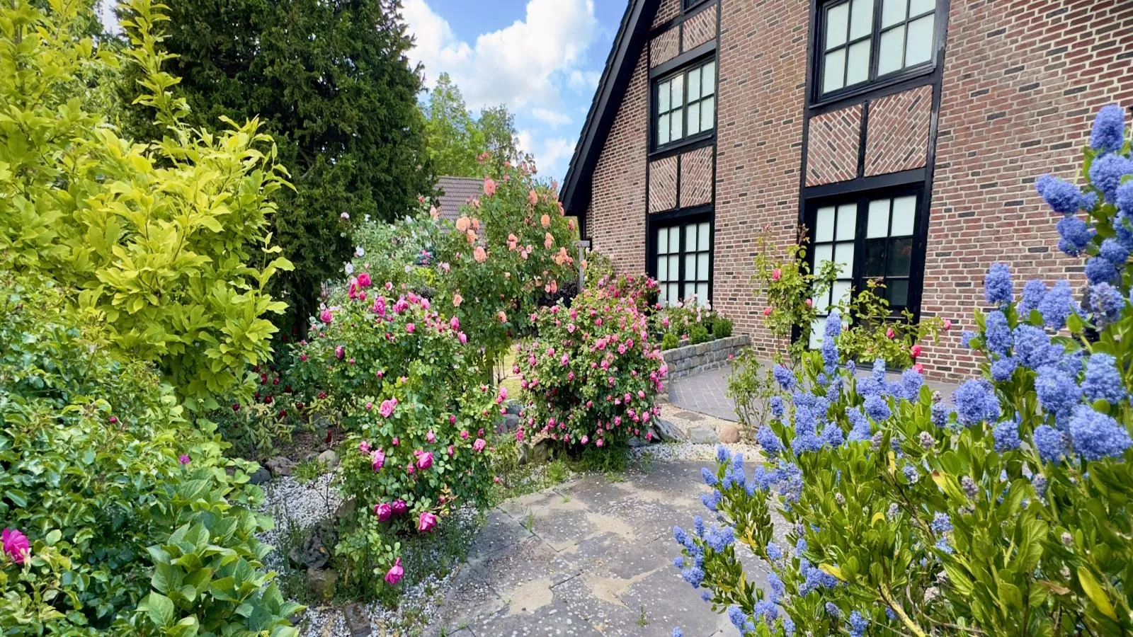 Rosegarden-Buitenkant zomer