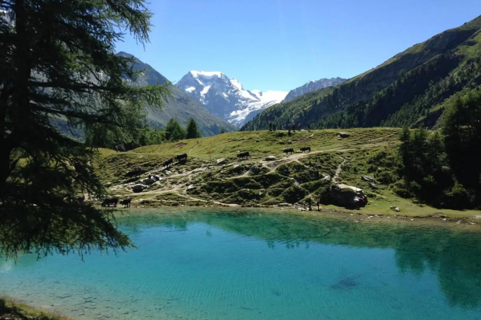 Pracondu 2 304 - OUTDOOR & FUN apartment 6 pers-Gebieden zomer 5km