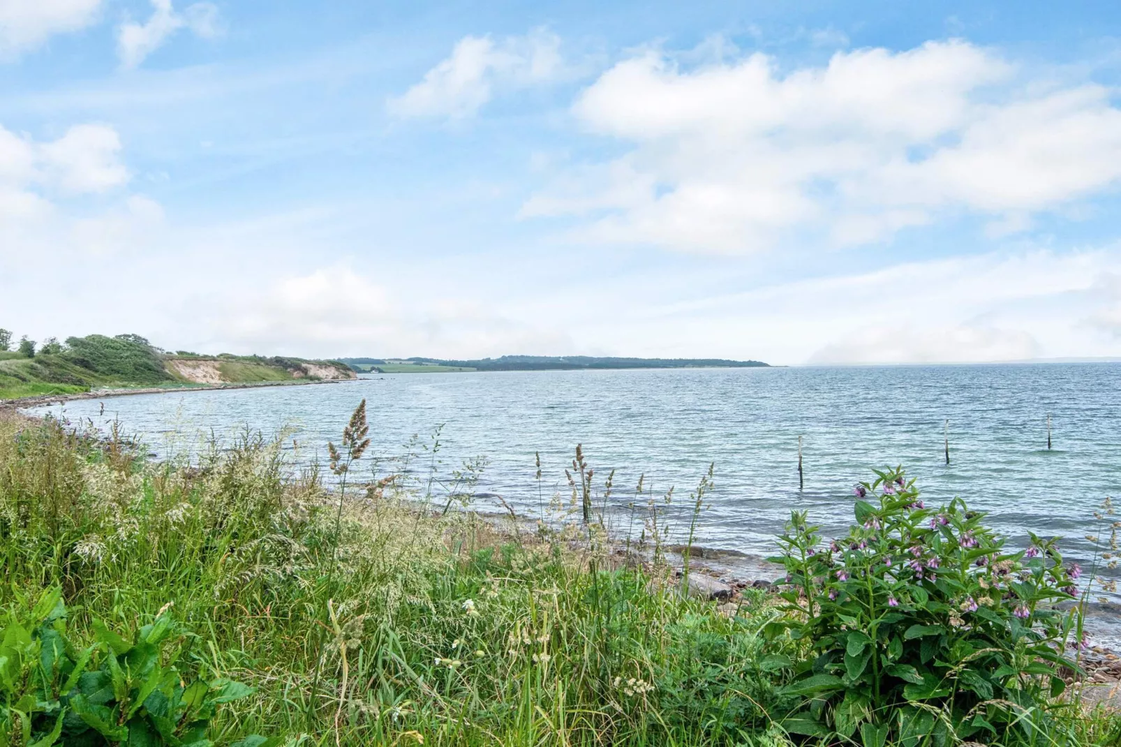 5 Personen vakantie huis in Knebel-Niet-getagd