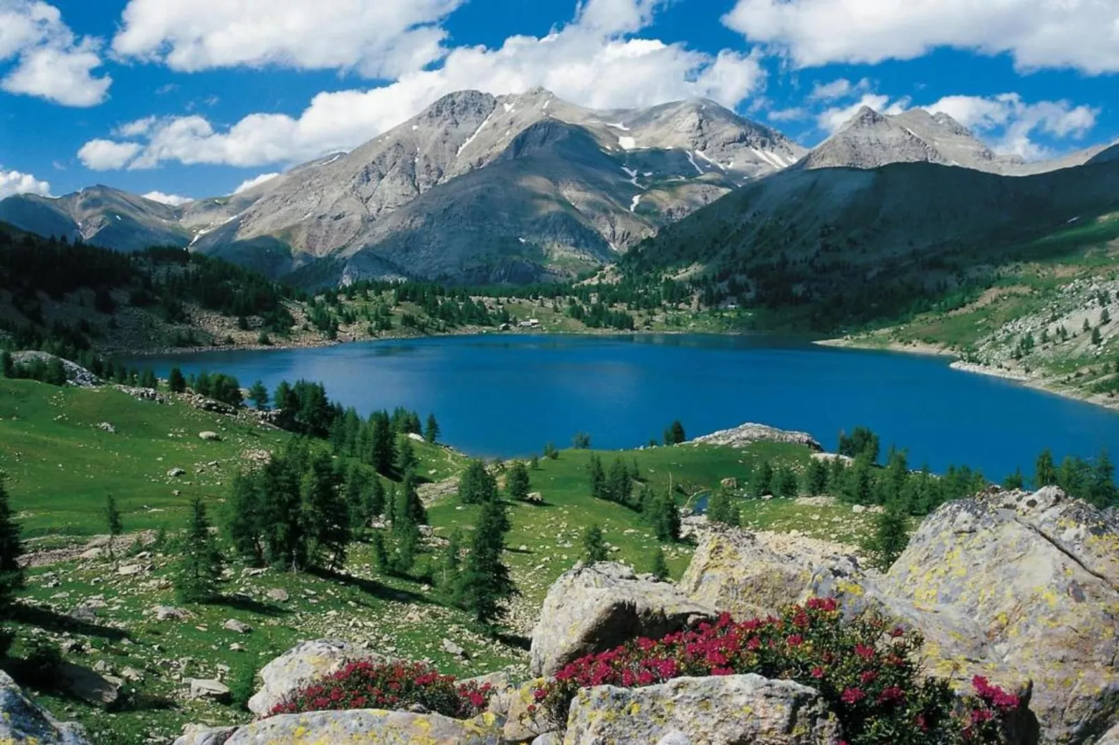 Central Park N°316 - 3P6-Gebieden zomer 20km