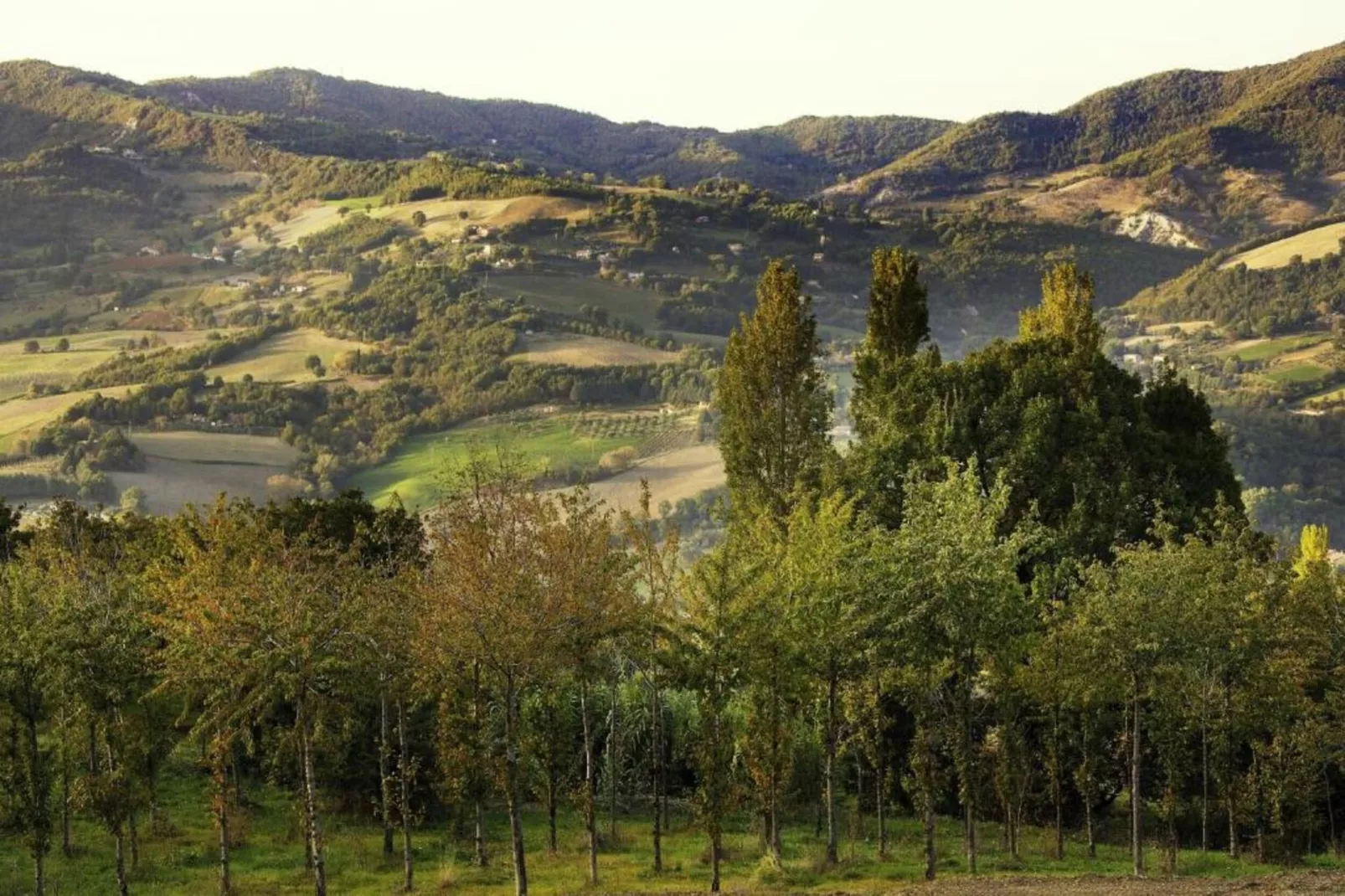 Villa Paradiso 25-Gebieden zomer 20km
