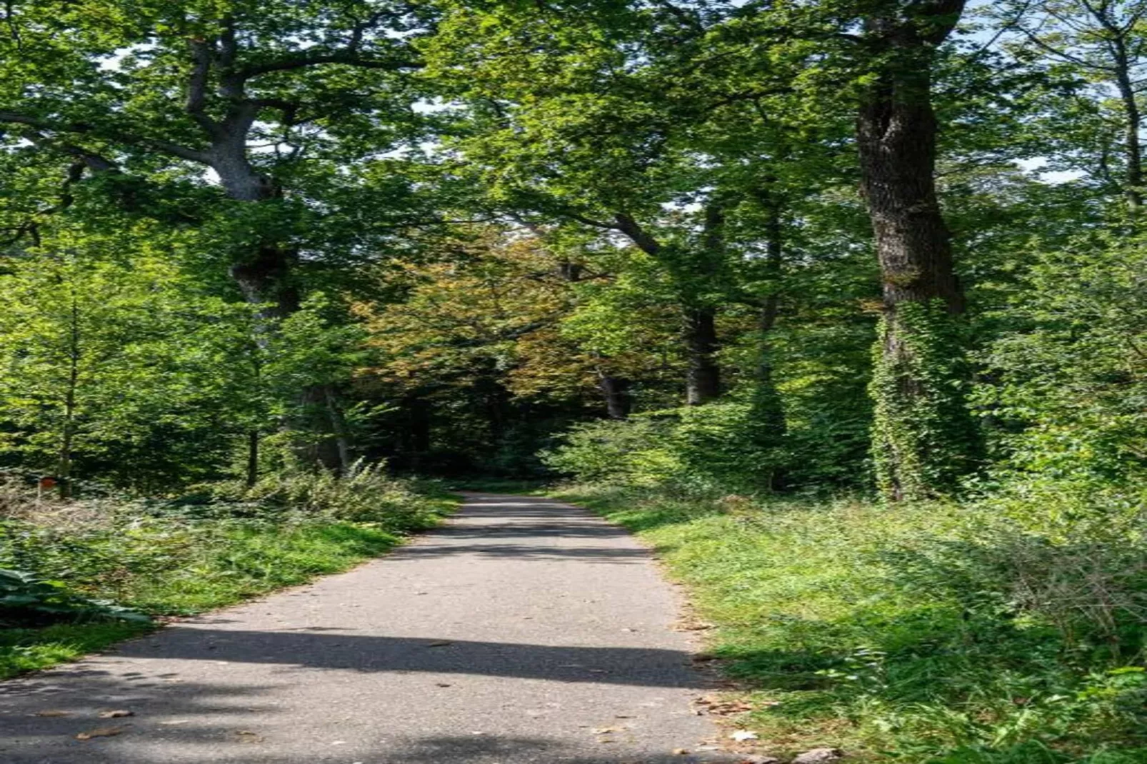 Delft 2B-Gebieden zomer 20km