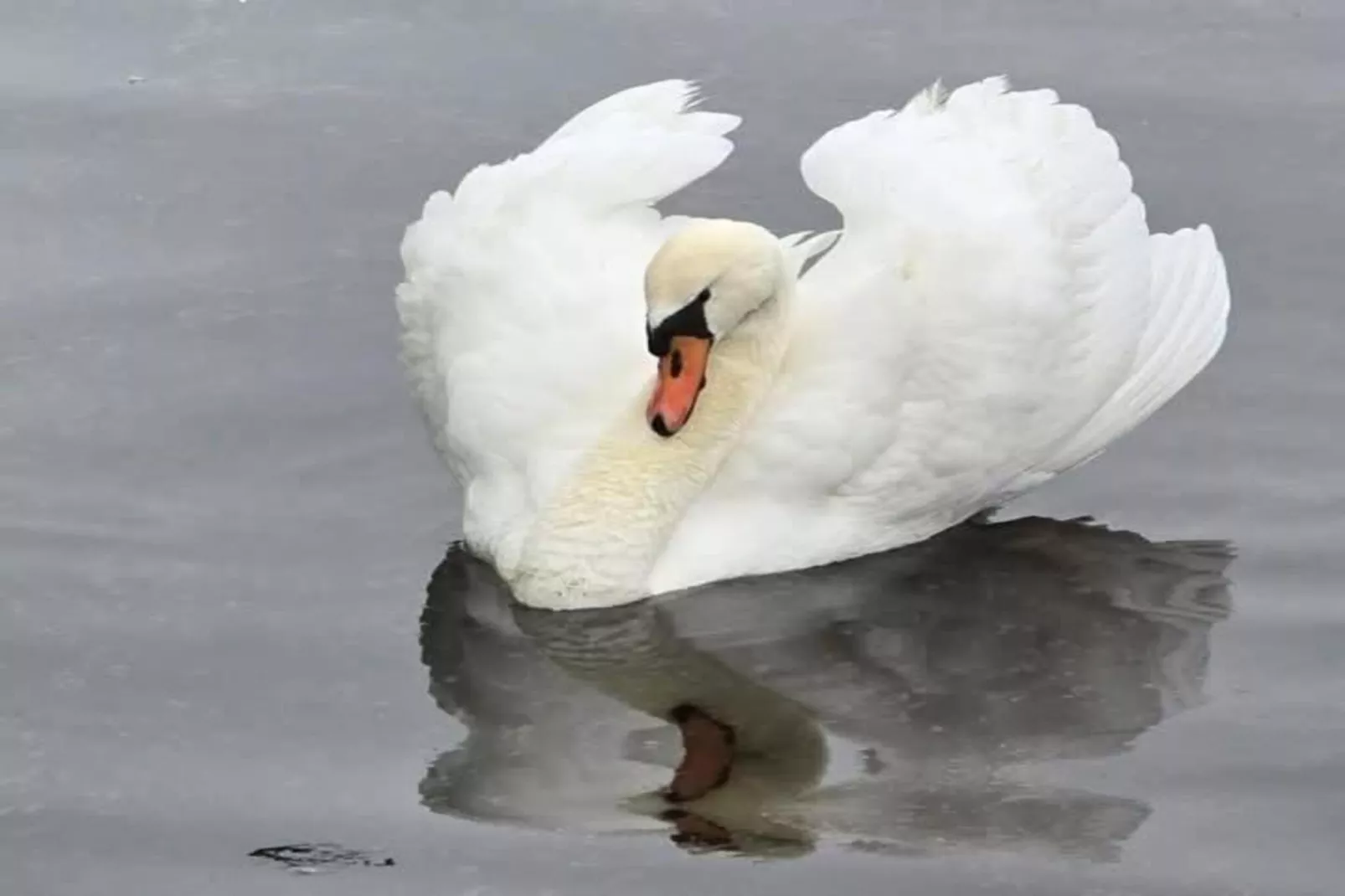 Delft 4A-Gebieden zomer 20km