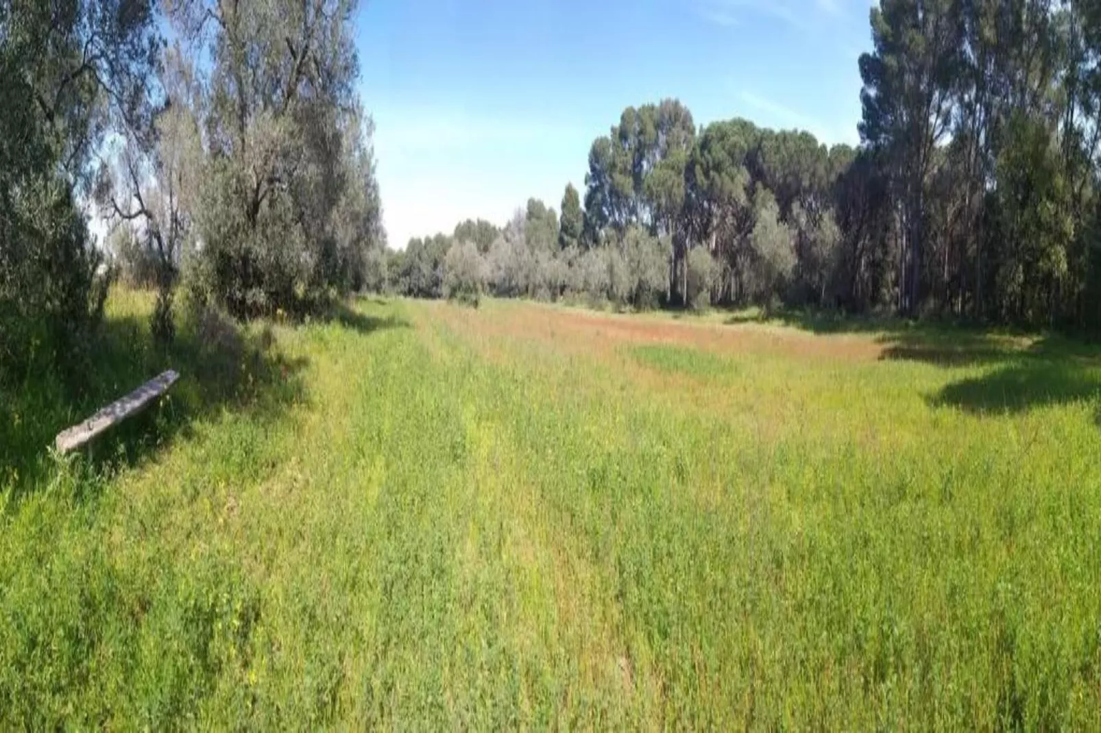 Arcos H1-Gebieden zomer 1km