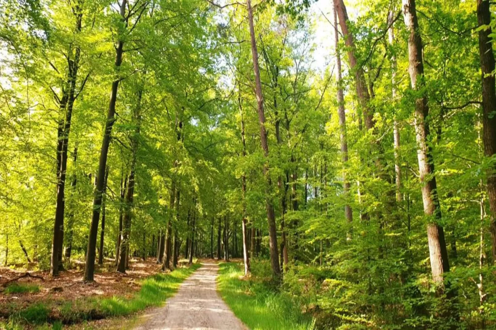 Vlindervallei Villa 8p-Gebieden zomer 5km