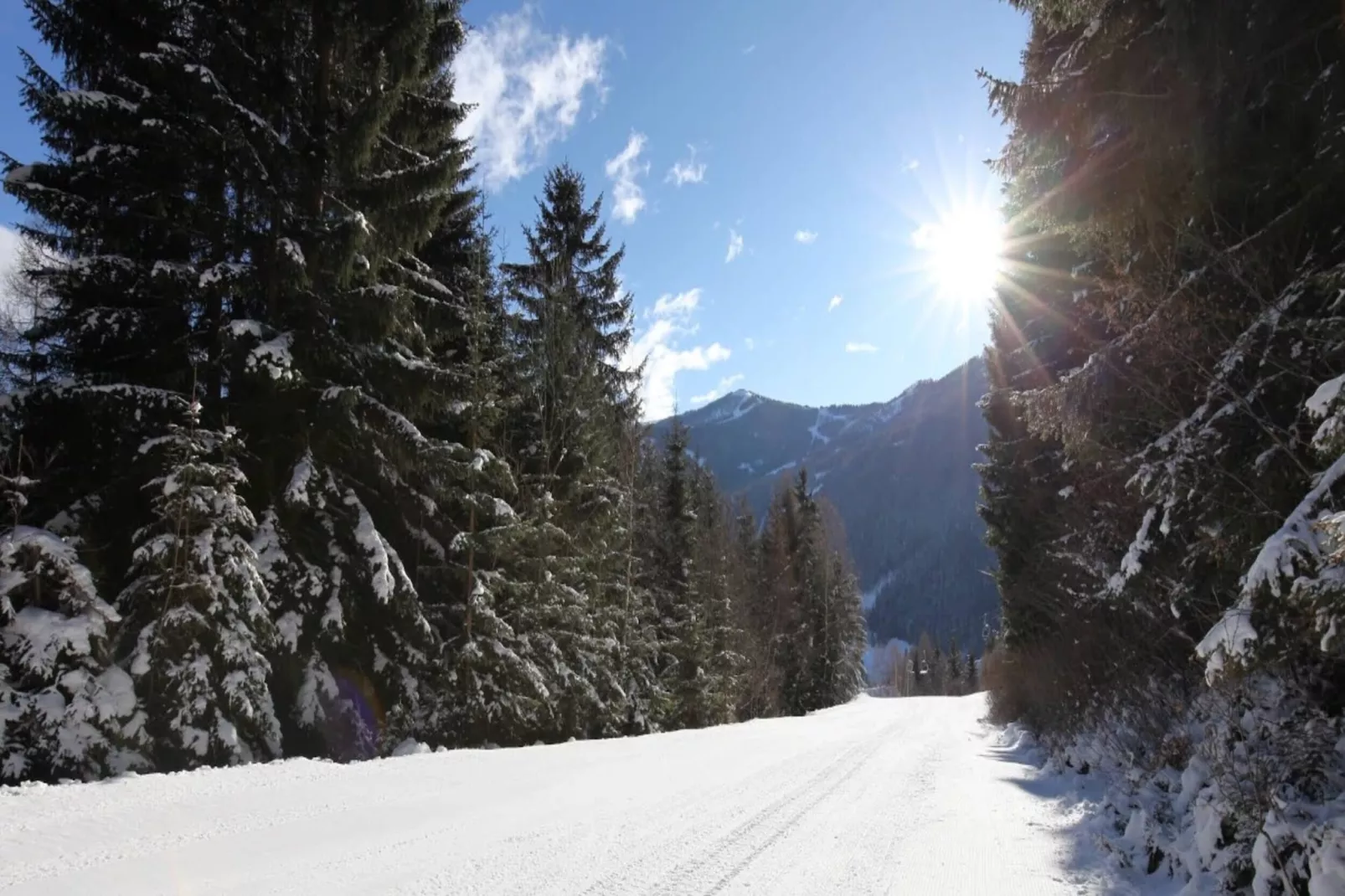 Chalet Ski In - Top 1-Gebied winter 1km