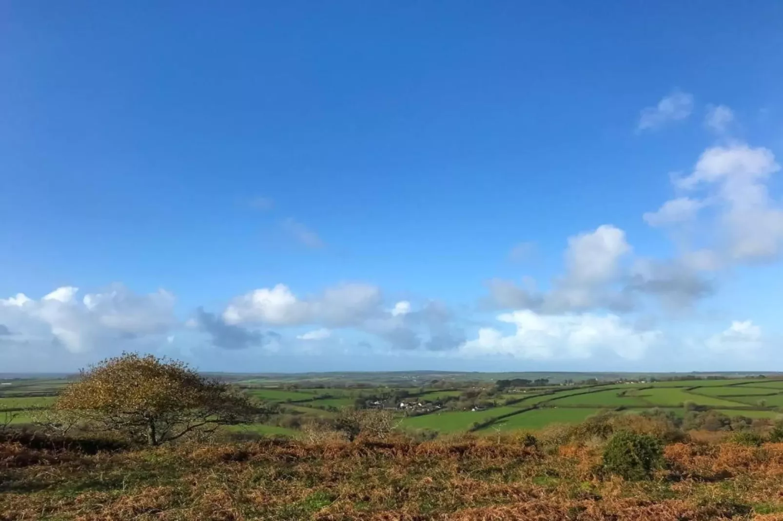 Jubilee Barn Cottage at Bodmin Moor-Gebieden zomer 5km