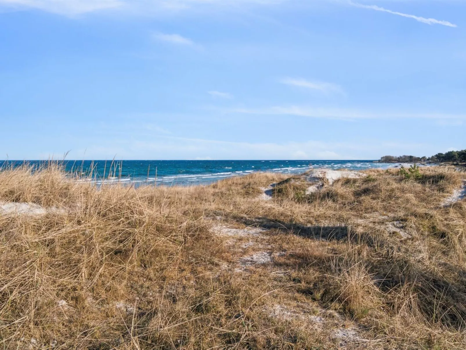 "Laurentius" - 50m from the sea-Buiten